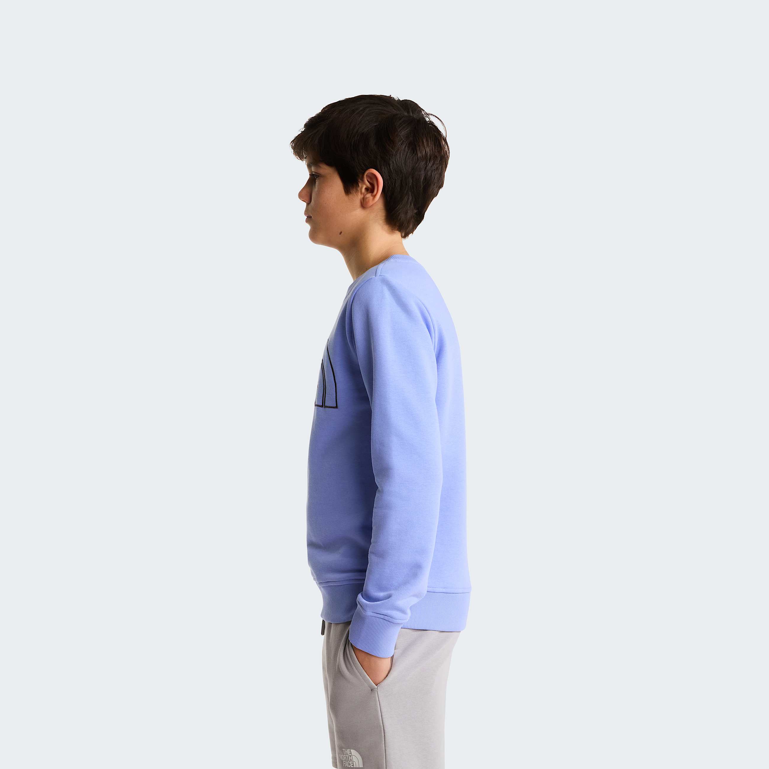 Teens Drew Peak Crew Neck Sweatshirt TNF Periwinkle Glow ALT2