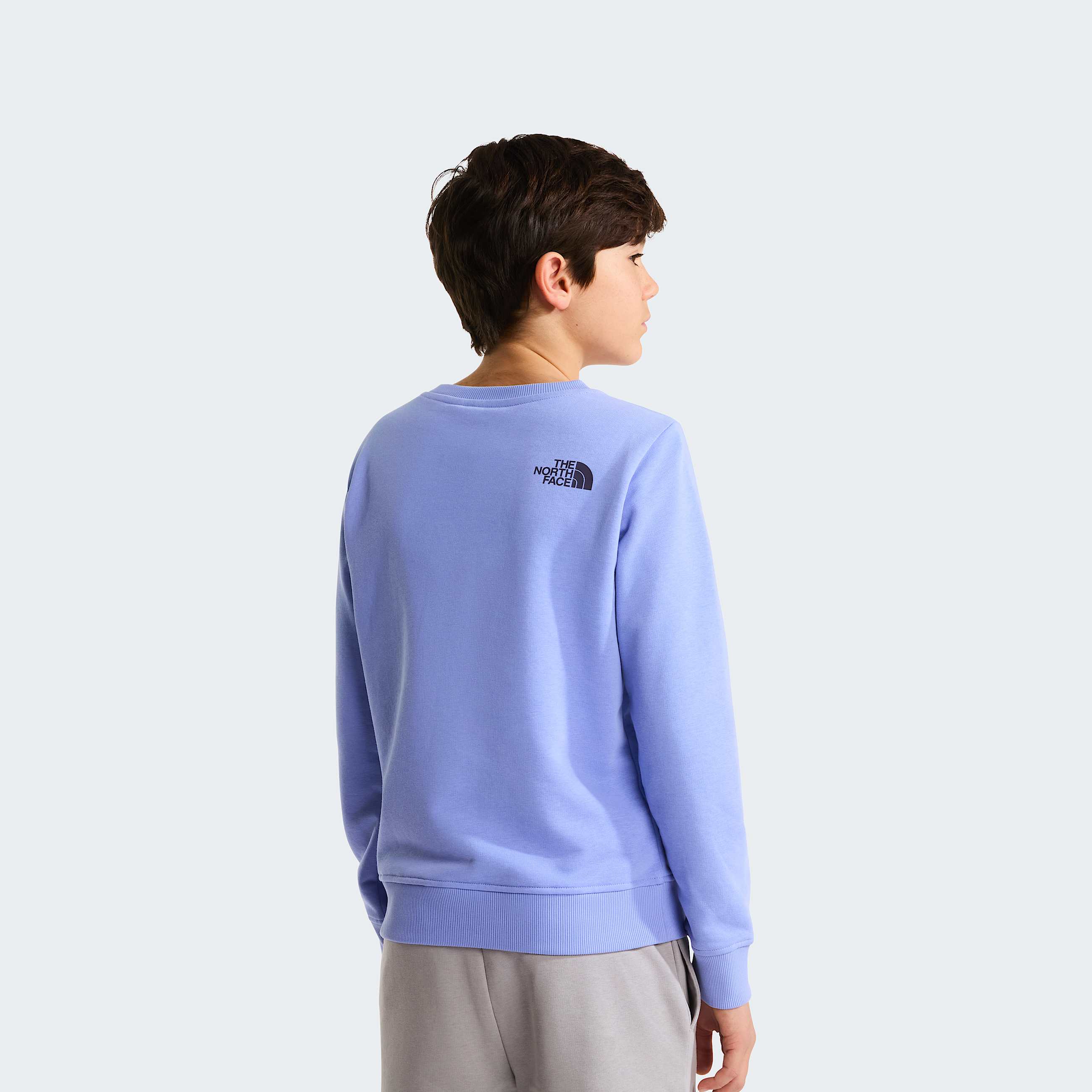 Teens Drew Peak Crew Neck Sweatshirt TNF Periwinkle Glow ALT3