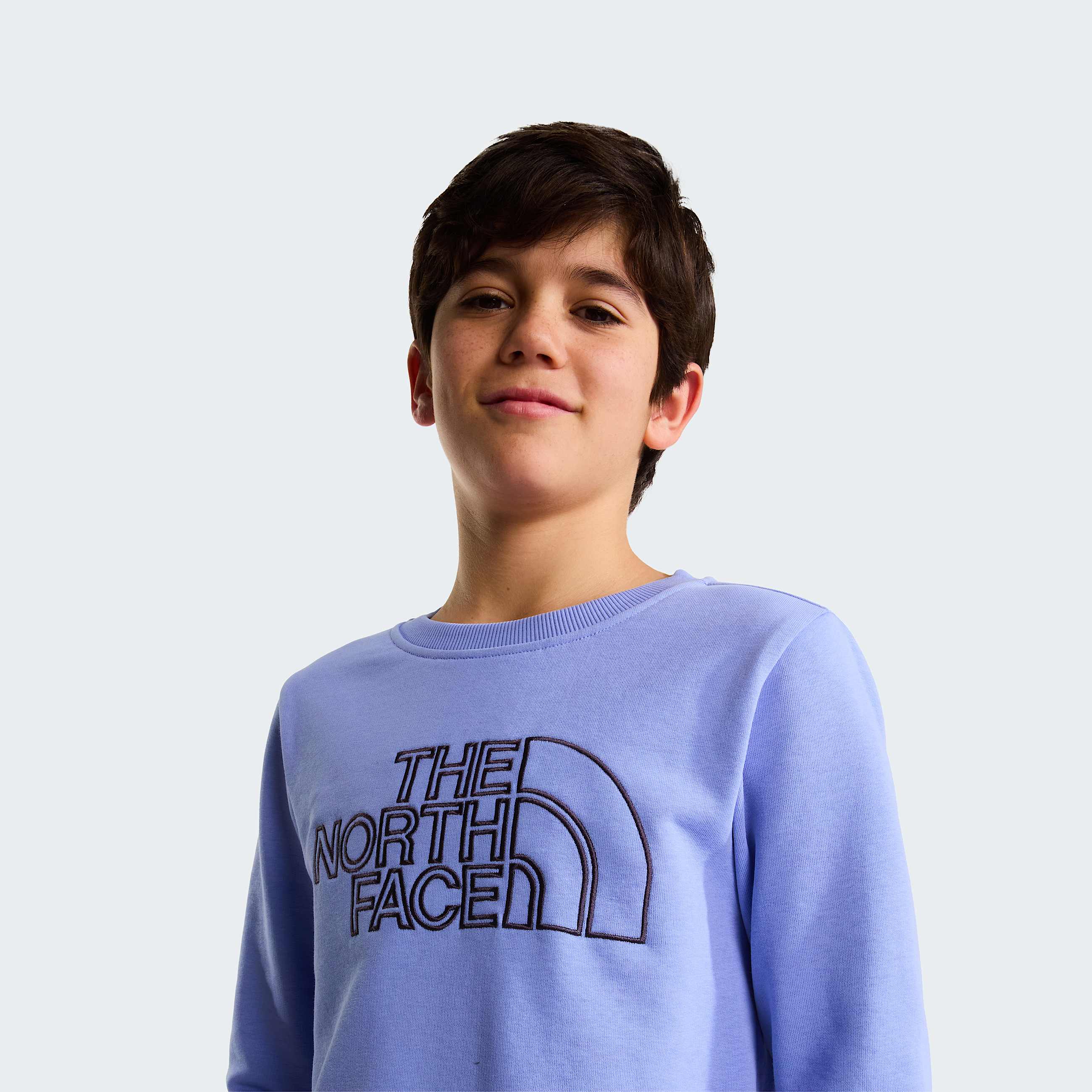 Teens Drew Peak Crew Neck Sweatshirt TNF Periwinkle Glow ALT4