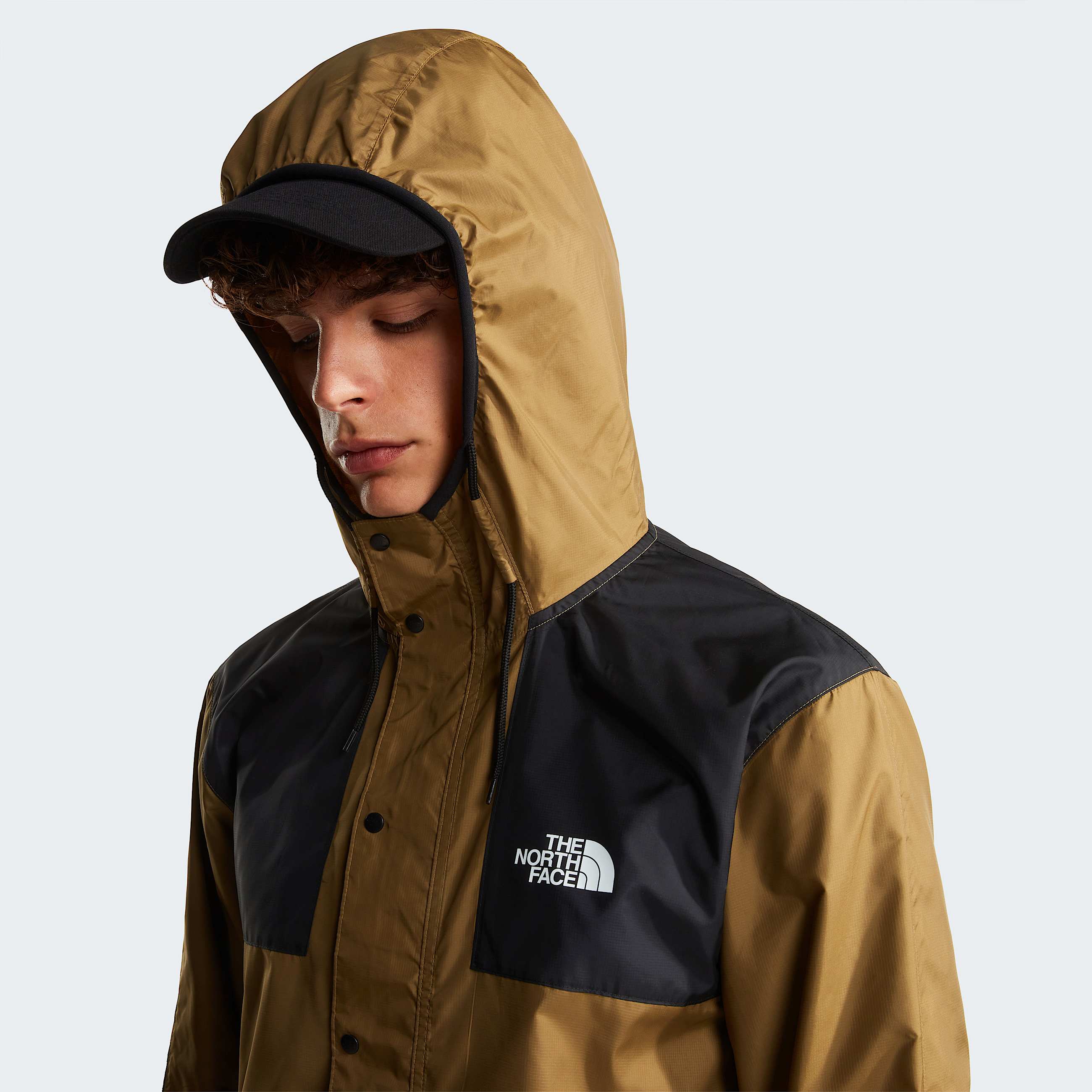 Mens Seasonal Mountain Jacket TNF ALT5