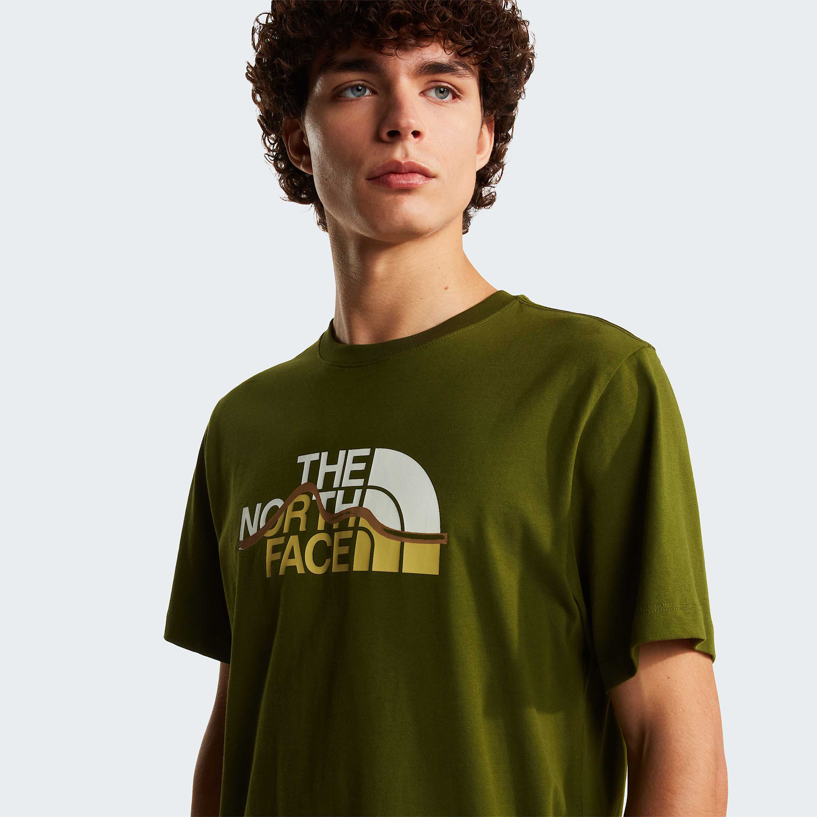 Tshirt Mountain Line Regular con grafica da uomo TNF ALT4