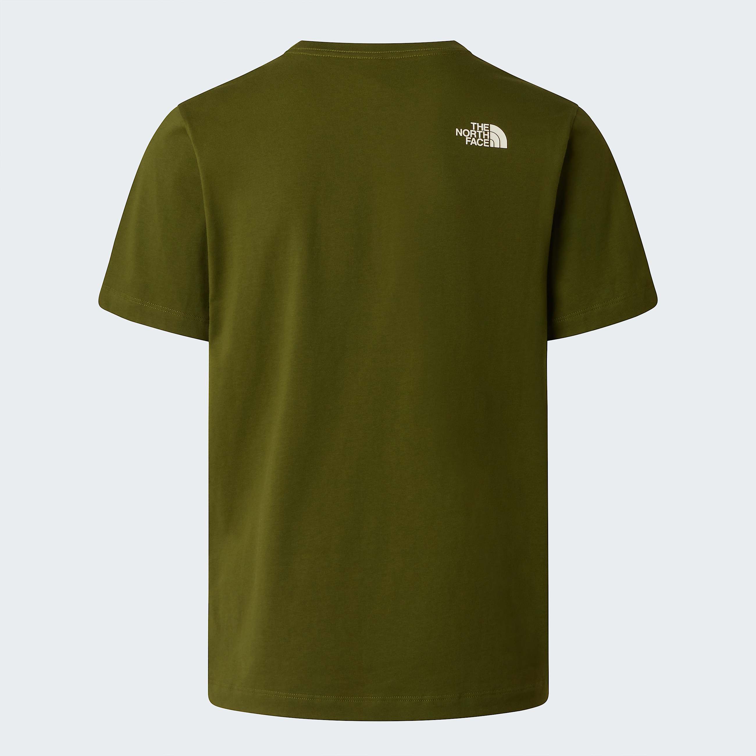 Tshirt Mountain Line Regular con grafica da uomo TNF ALT21
