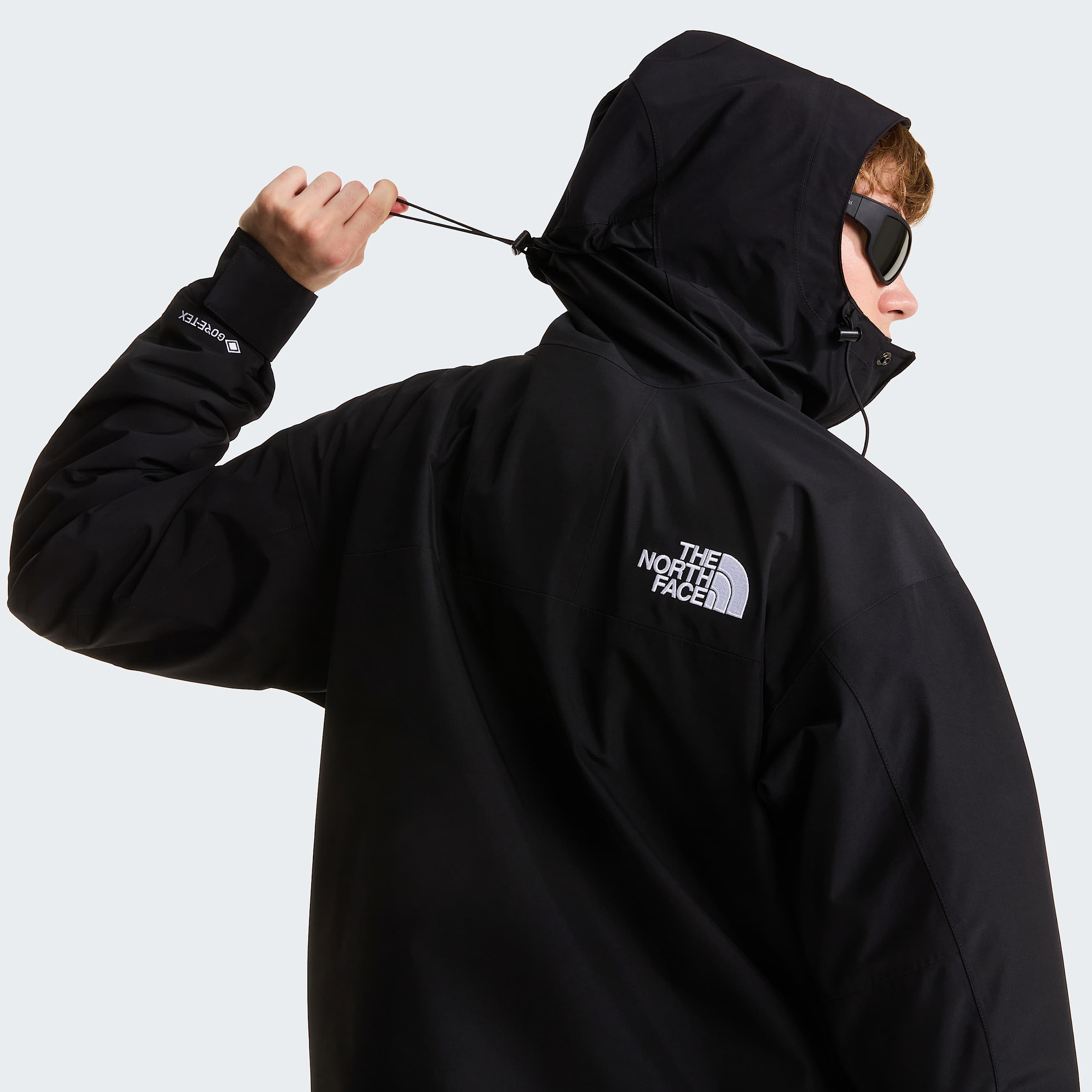 Giacca GORETEX Mountain TNF ALT6