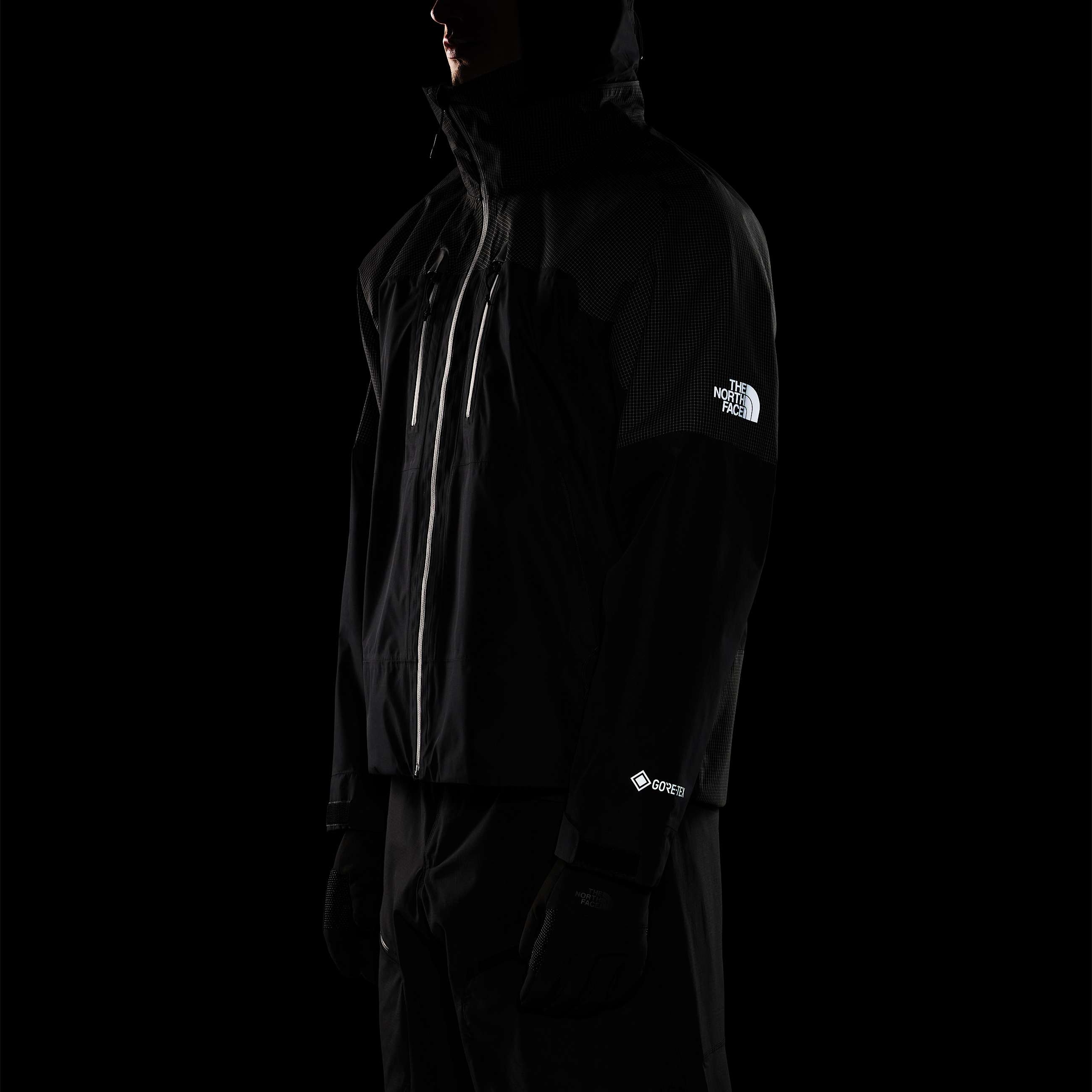 Mens Hike Devils Thumb GORETEX Jacket TNF ALT11