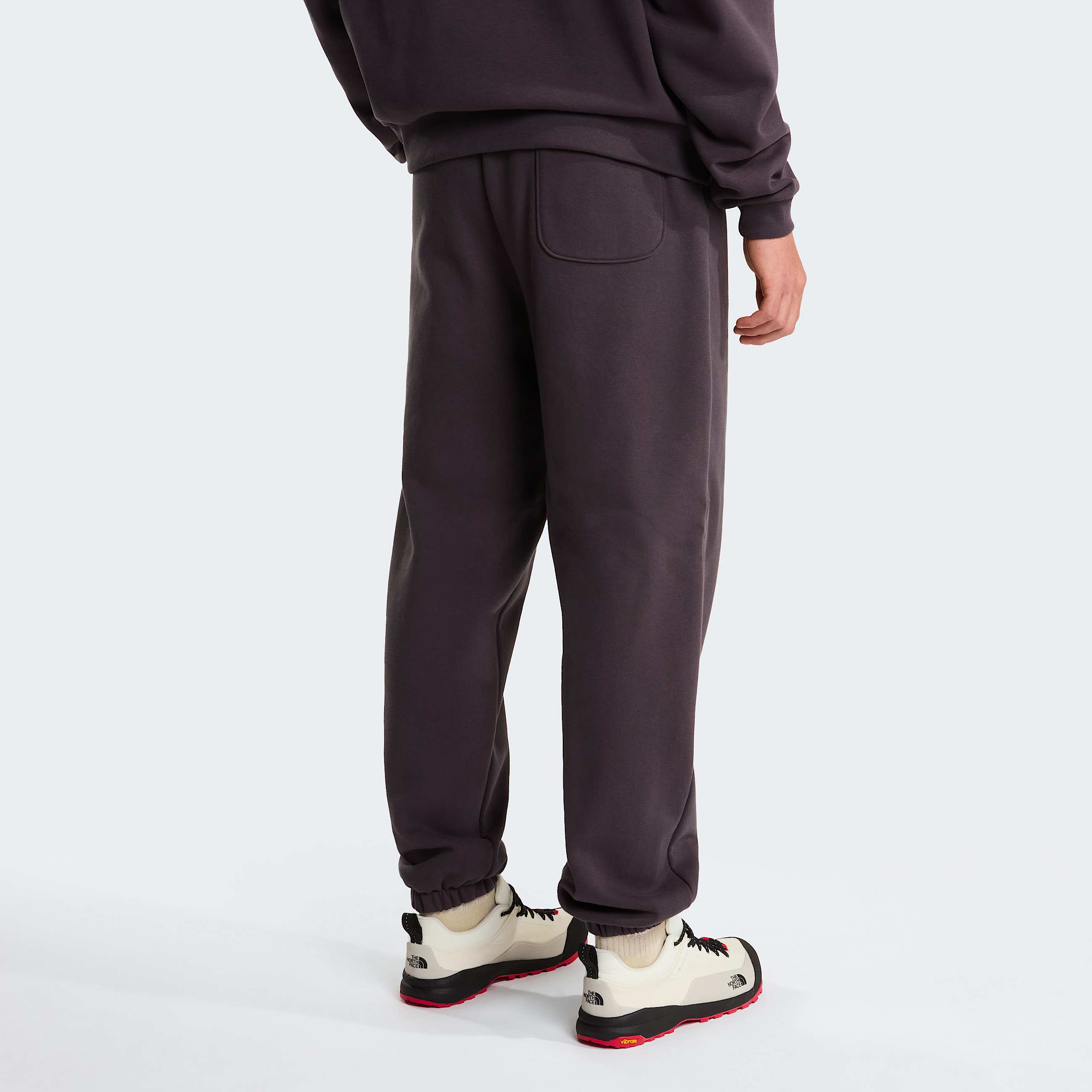 Joggers Red Box unisex TNF ALT3