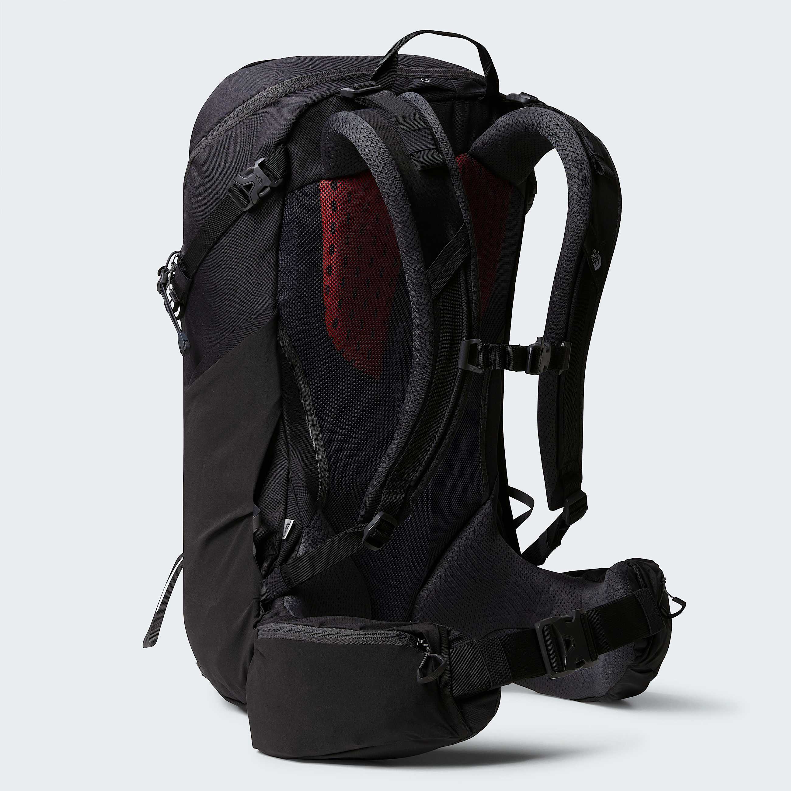 Terra 40Litre Hiking Backpack TNF ALT2