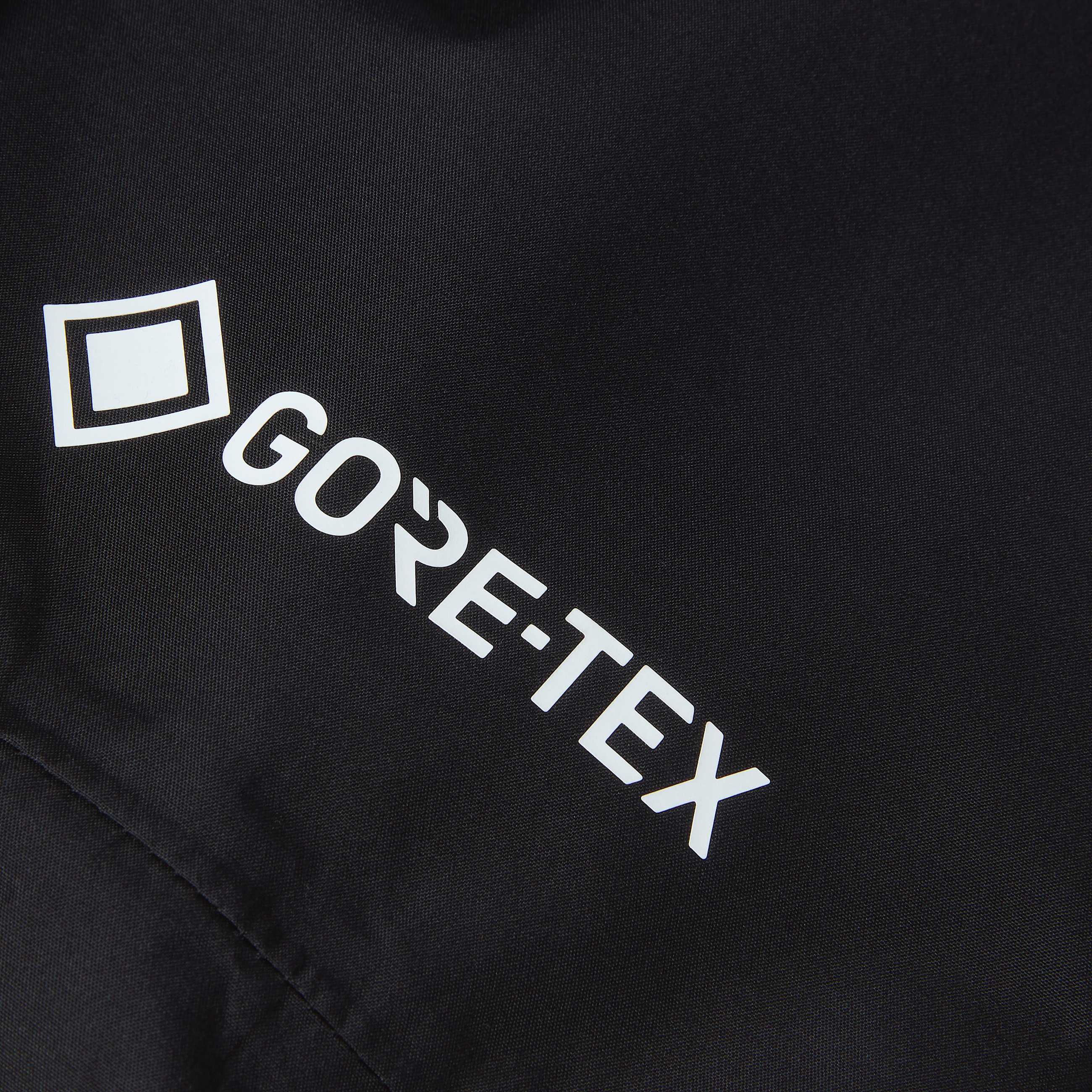 Womens Hike Devils Thumb GORETEX Jacket TNF ALT18