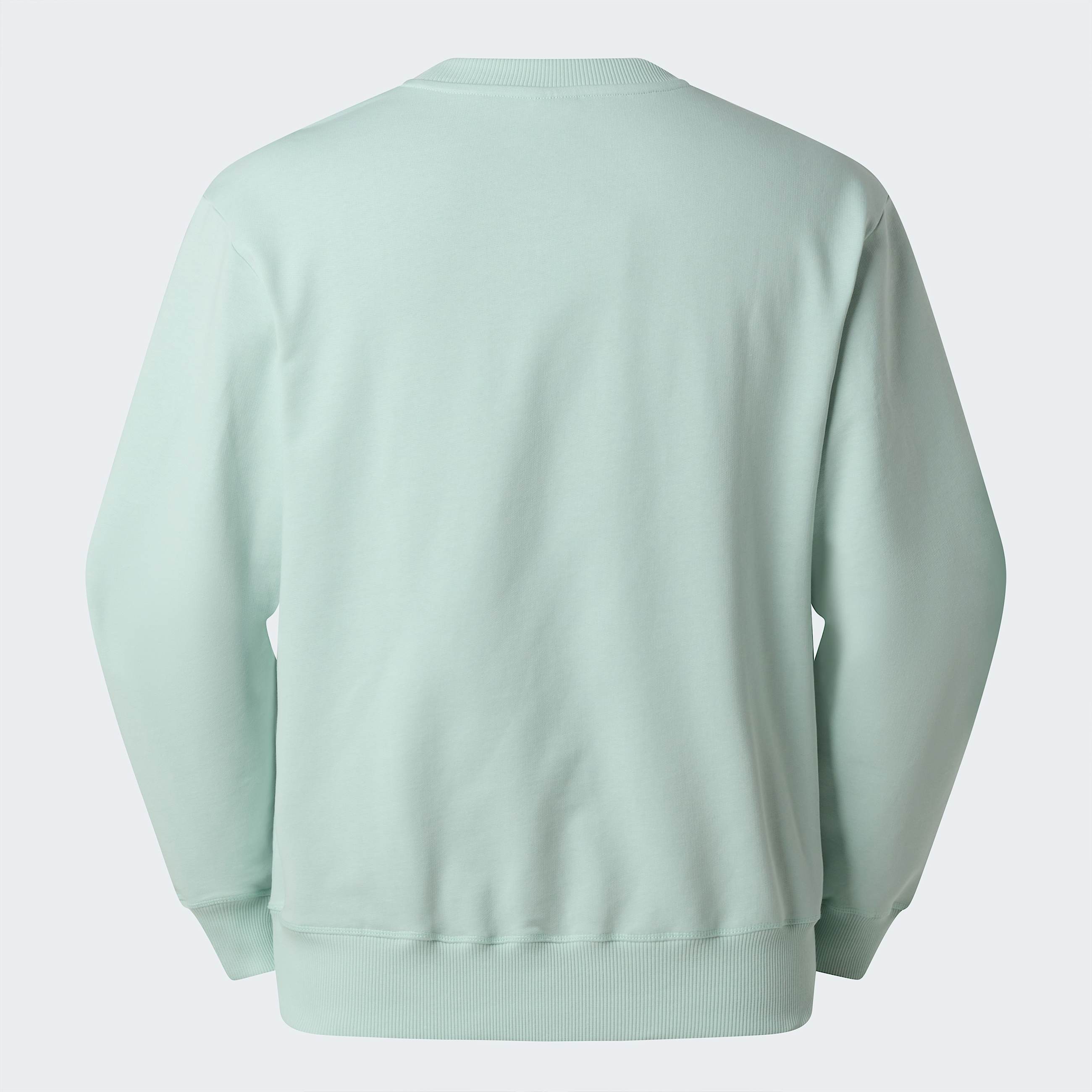 Unisex Essential Light Relaxed Sweatshirt TNF Opal Frost ALT1