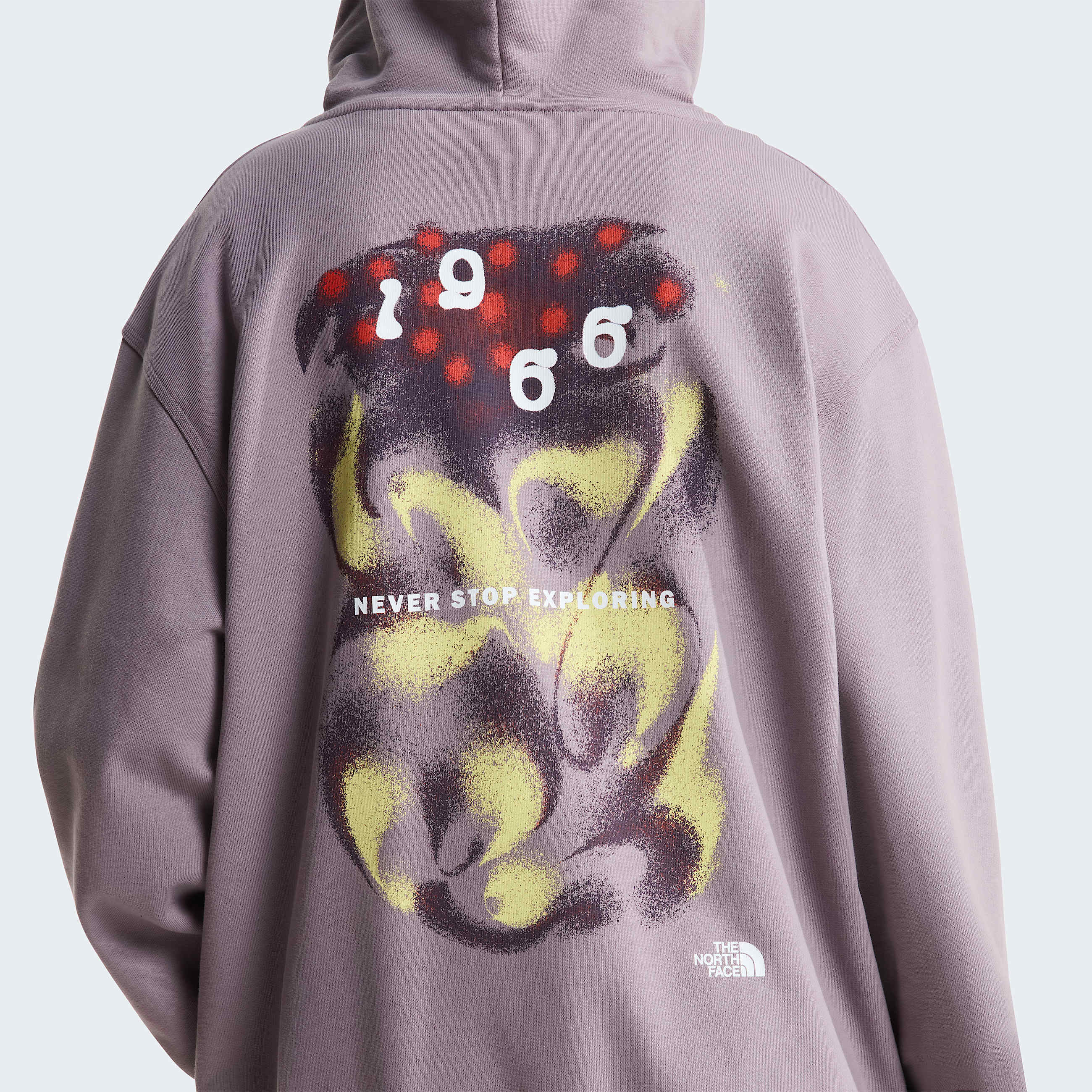 Unisex 1966 Motion Relaxed Graphic Hoodie TNF ALT15