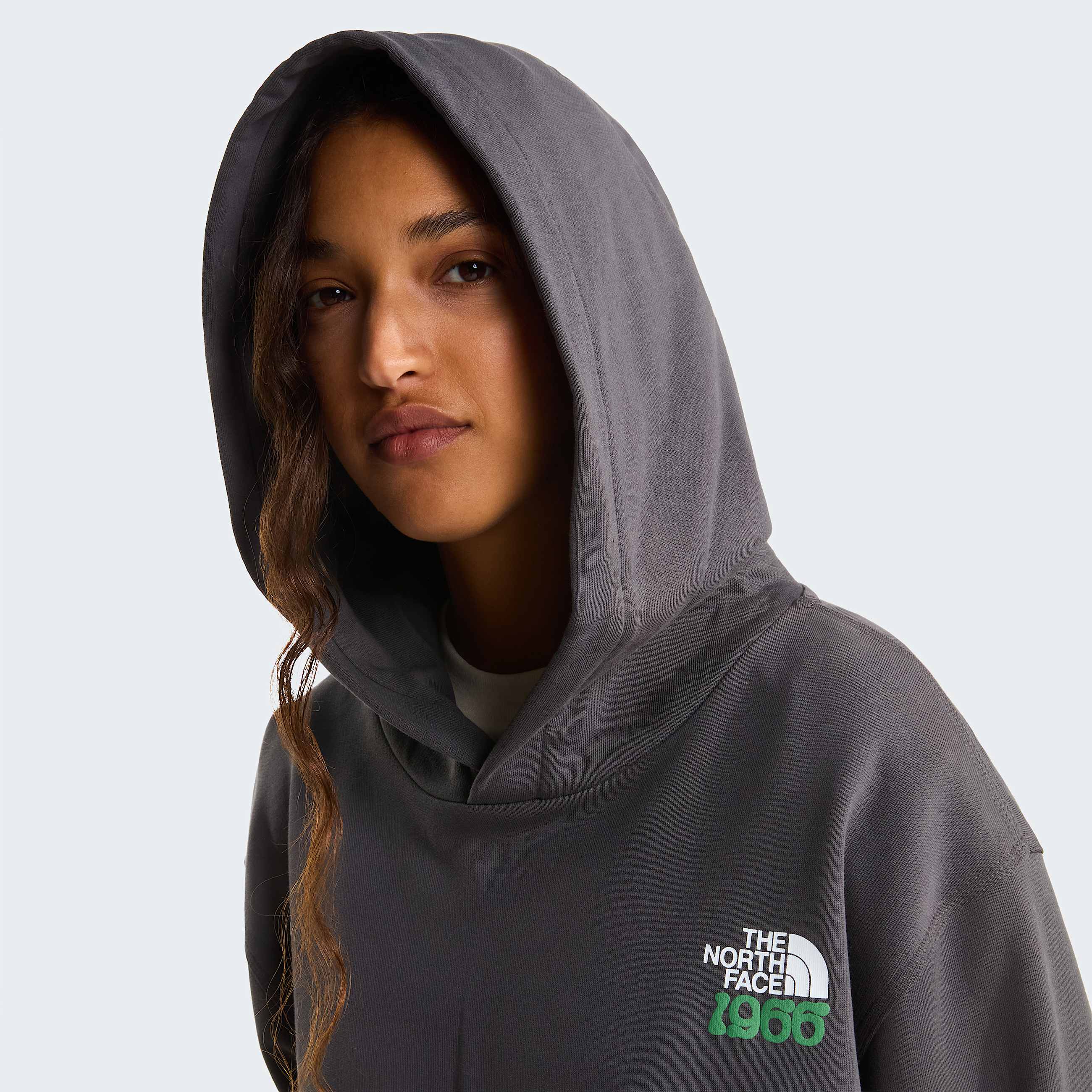 Unisex 1966 Motion Relaxed Graphic Hoodie TNF Anthracite Grey ALT12