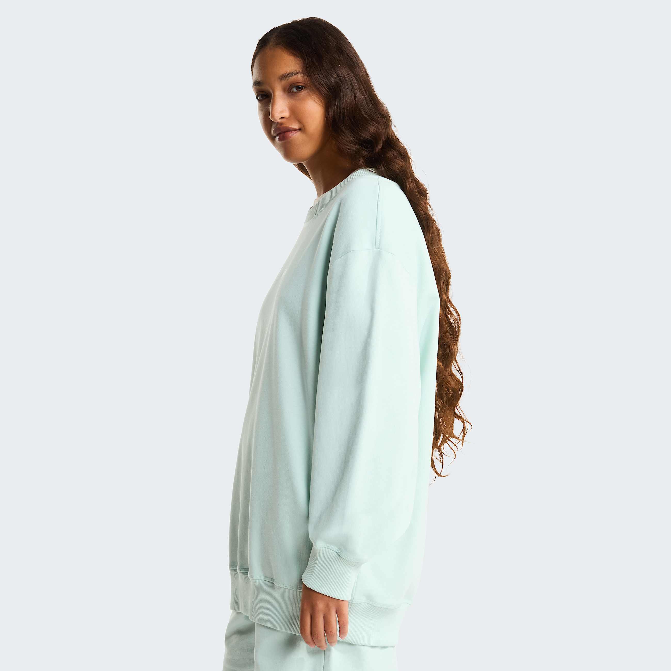 Unisex Essential Light Relaxed Sweatshirt TNF Opal Frost ALT10