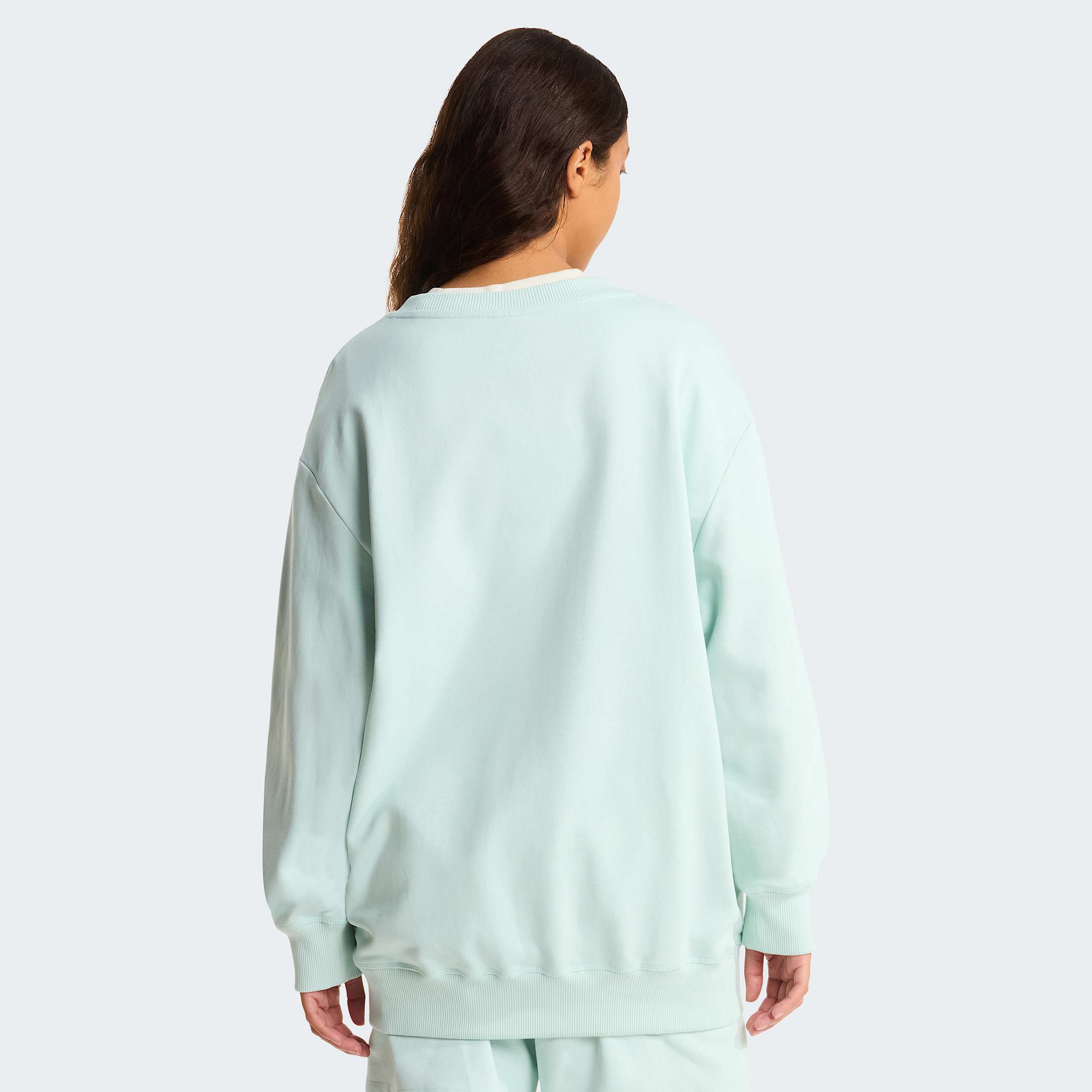 Unisex Essential Light Relaxed Sweatshirt TNF Opal Frost ALT11
