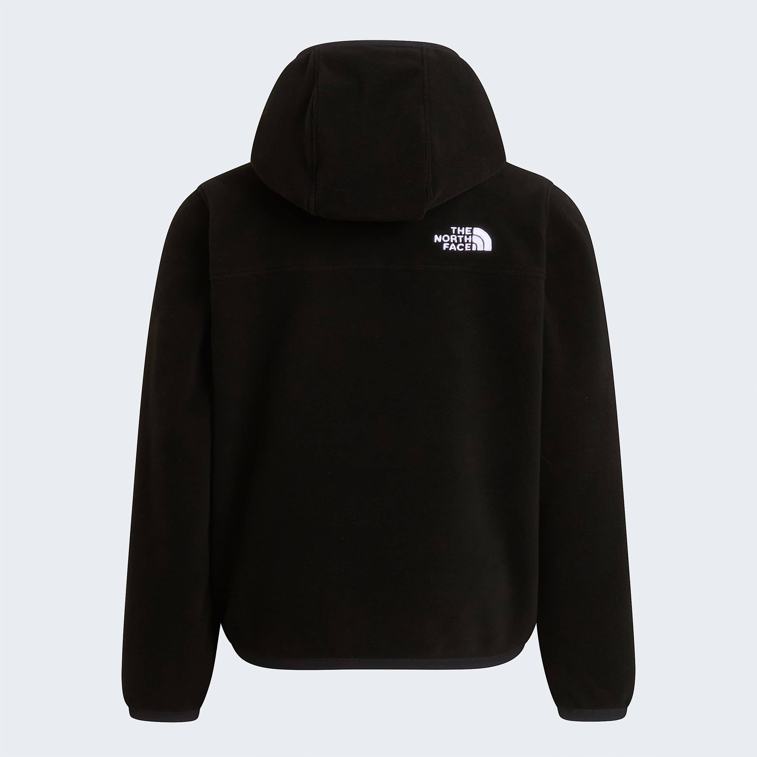 Kids Glacier FullZip Hooded Fleece TNF ALT21