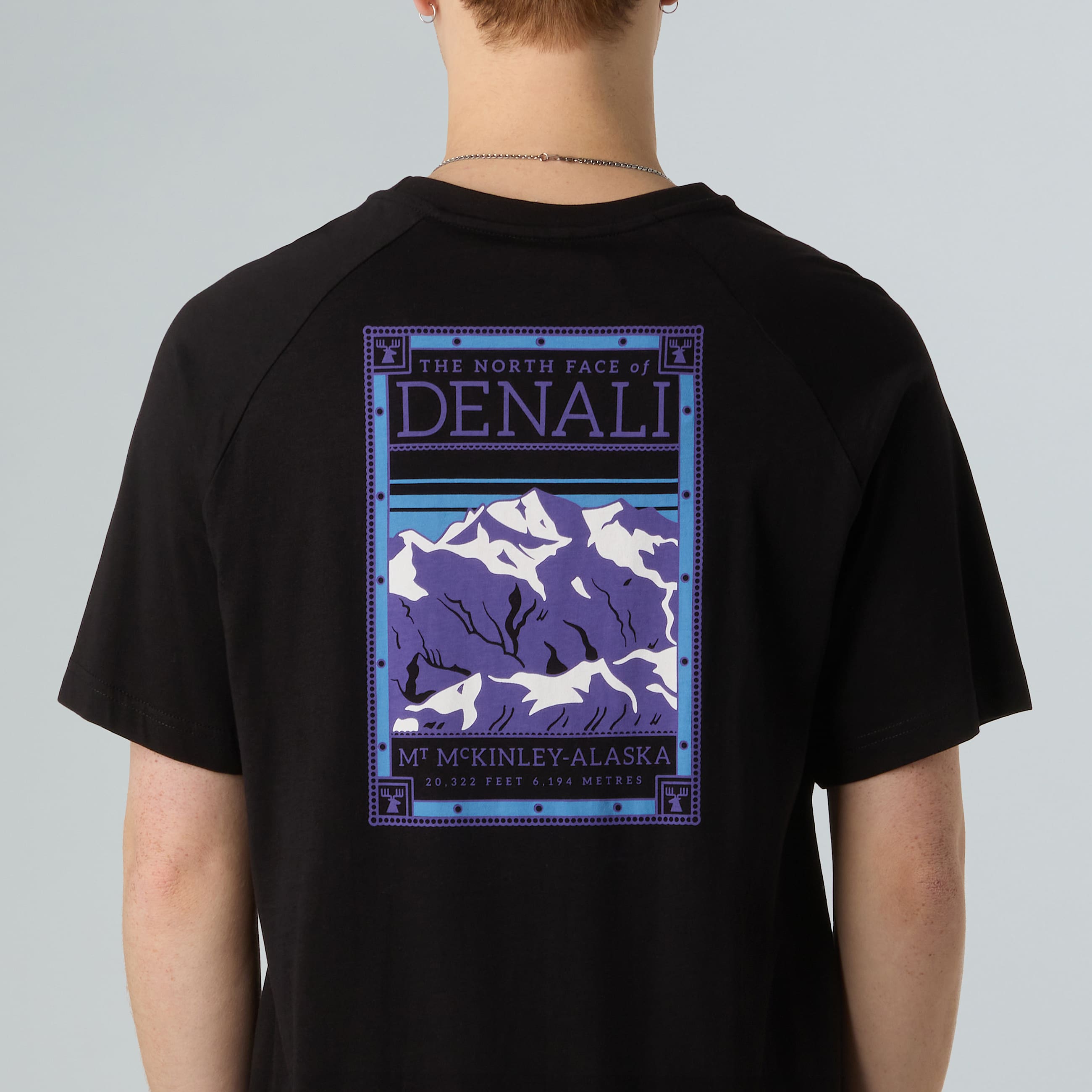 Mens North Faces TShirt TNF ALT8