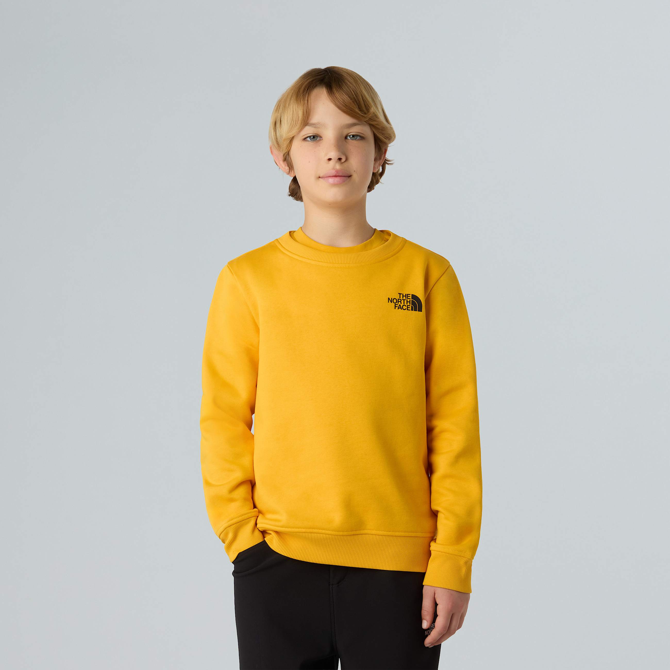 Teens NSE Box Sweatshirt TNF ALT4
