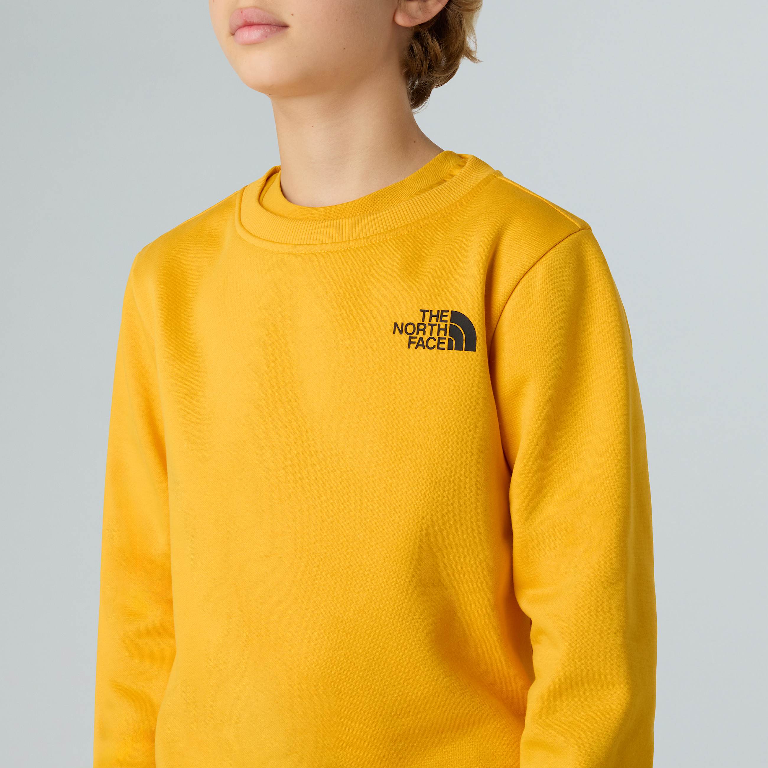 Teens NSE Box Sweatshirt TNF ALT7