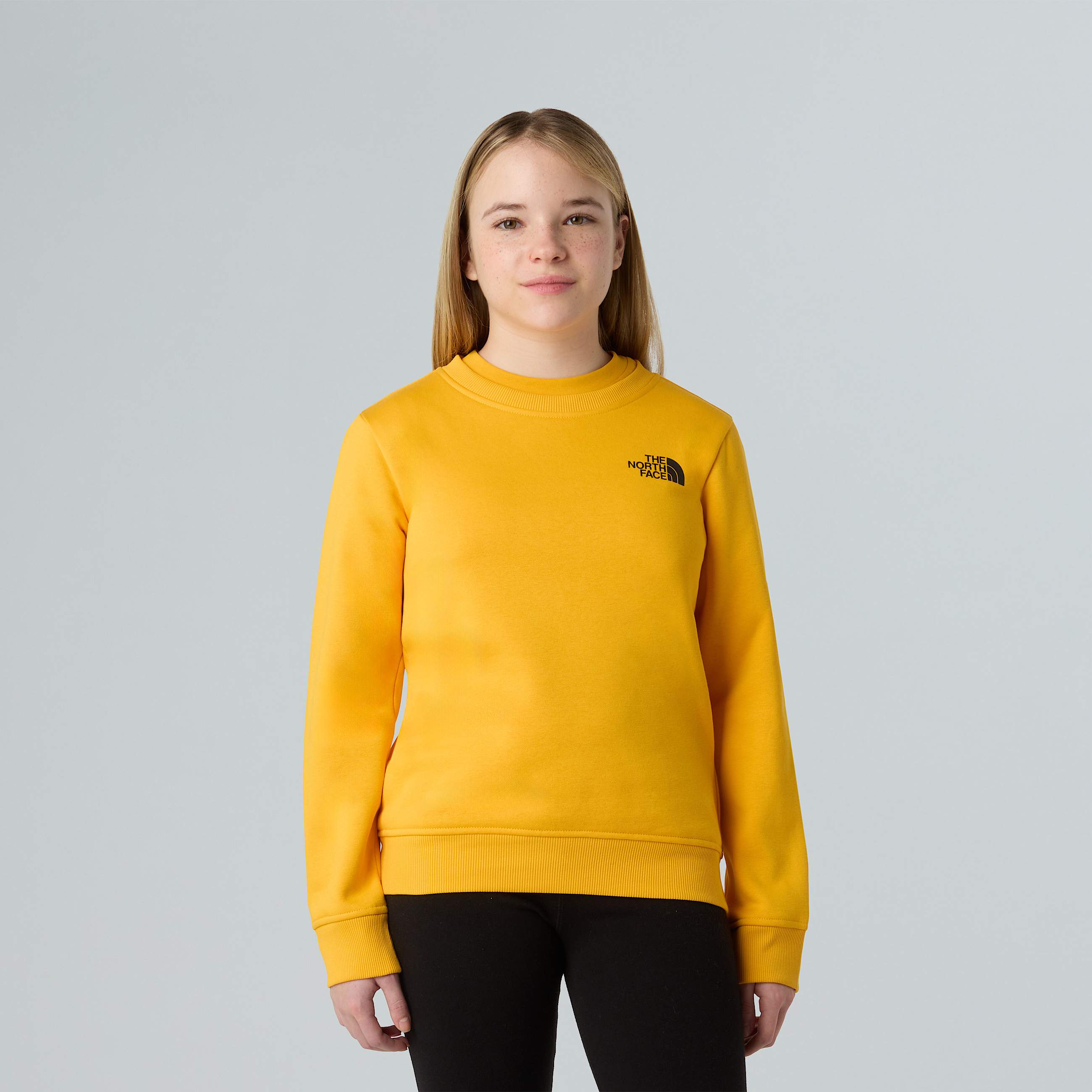 Teens NSE Box Sweatshirt TNF ALT9