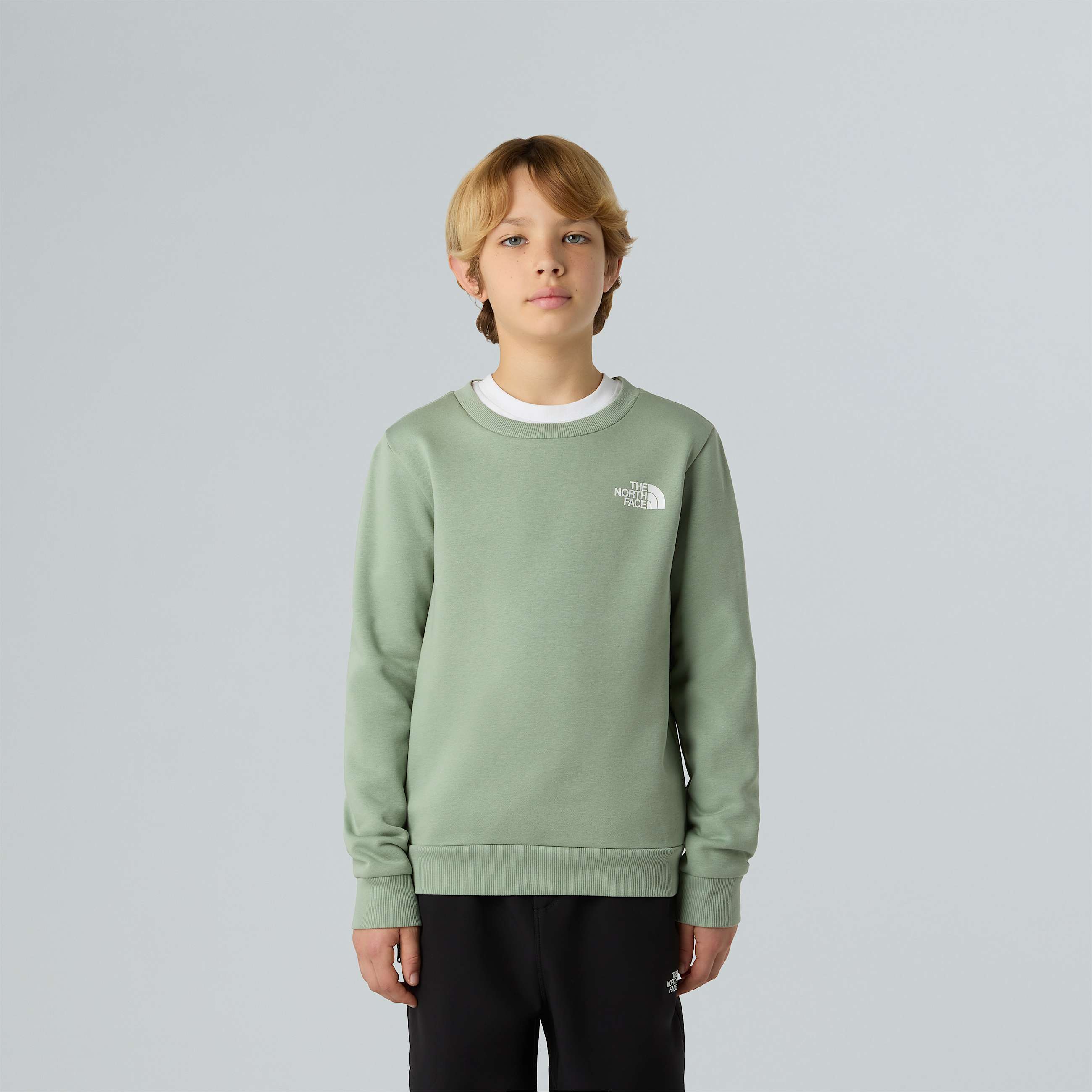 Teens Simple Dome Sweatshirt TNF ALT4