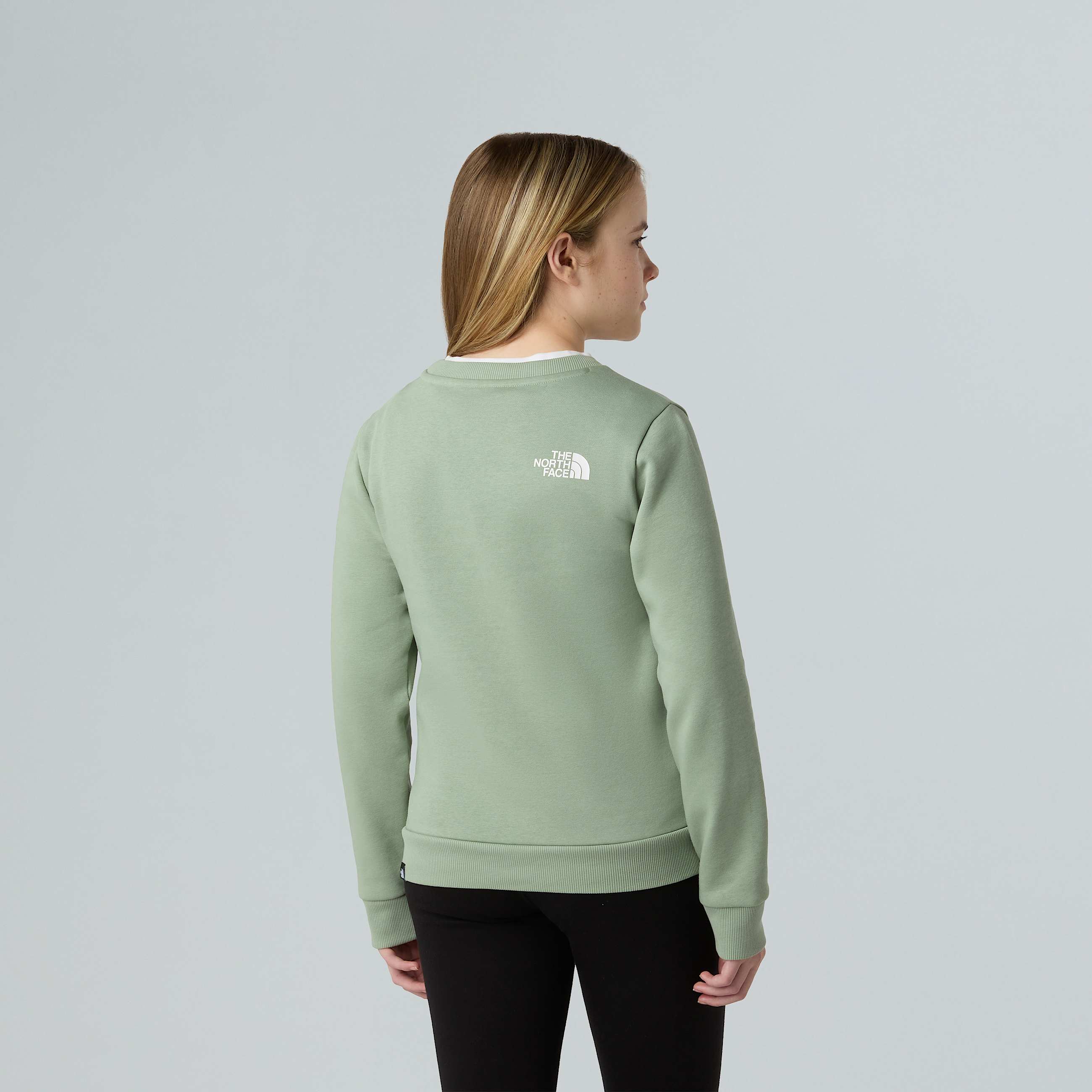 Teens Simple Dome Sweatshirt TNF ALT9