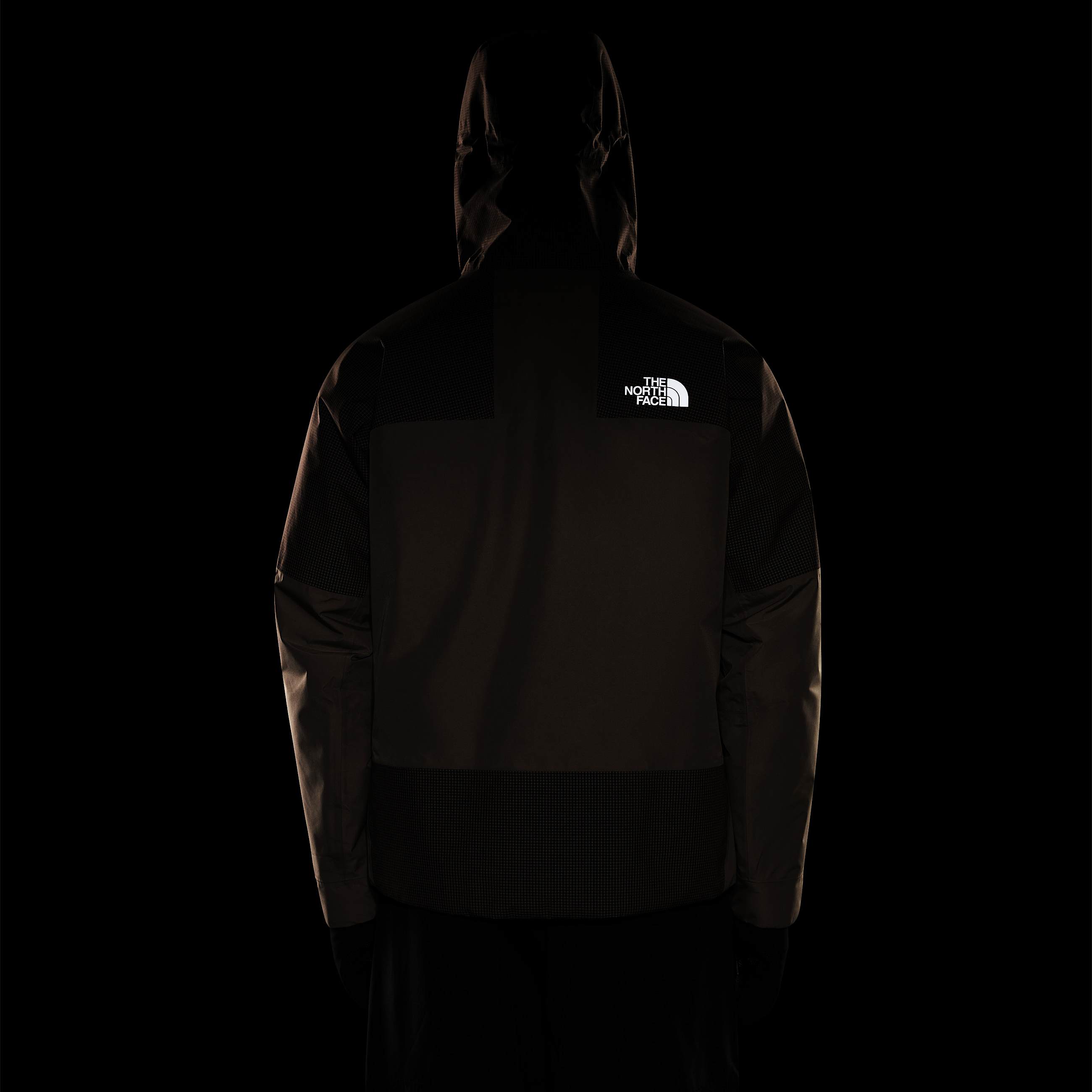 Devils Thumb isolierte GORETEX Wanderjacke fr Herren TNF ALT20