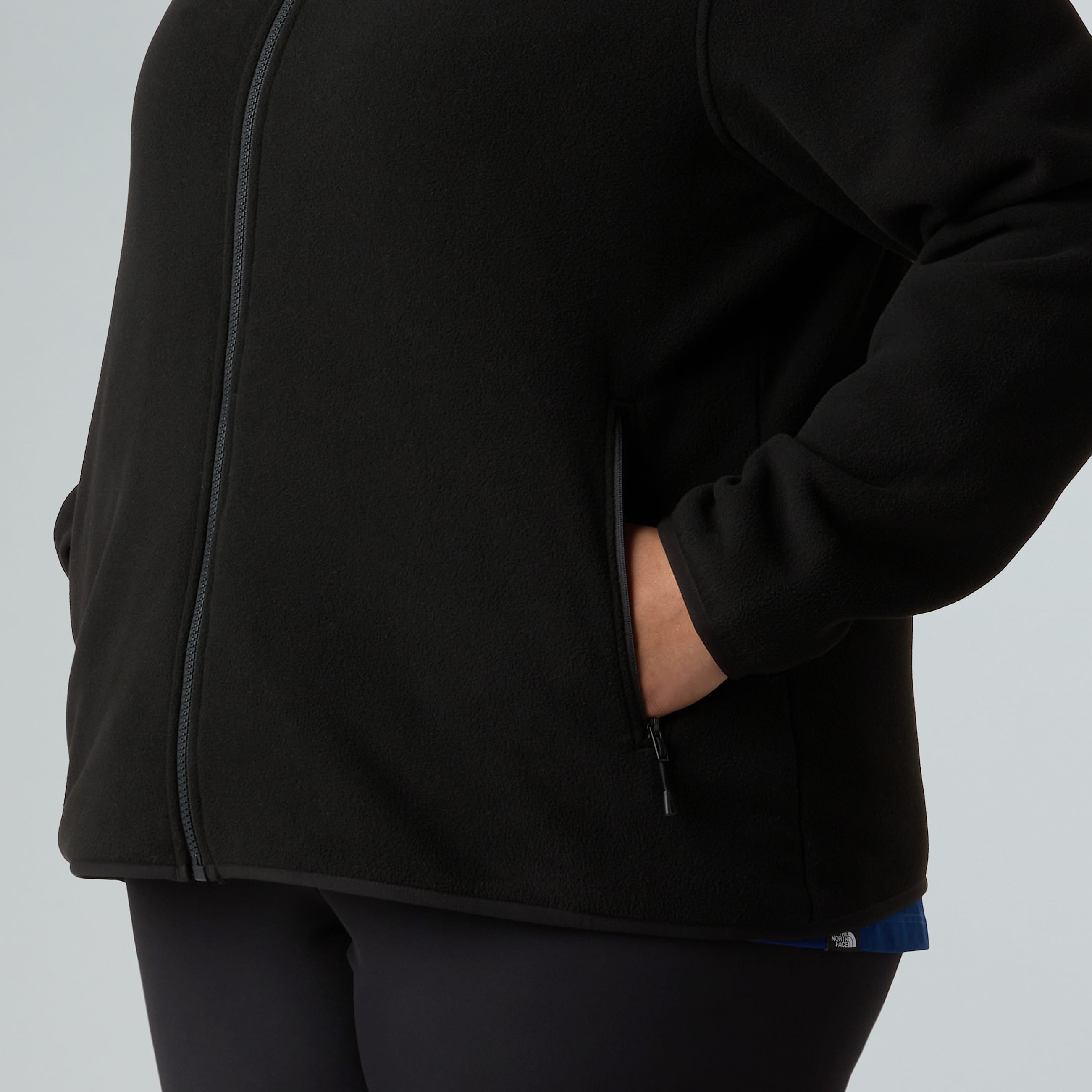 Plus Size Glacier FullZip Fleece W TNF ALT9