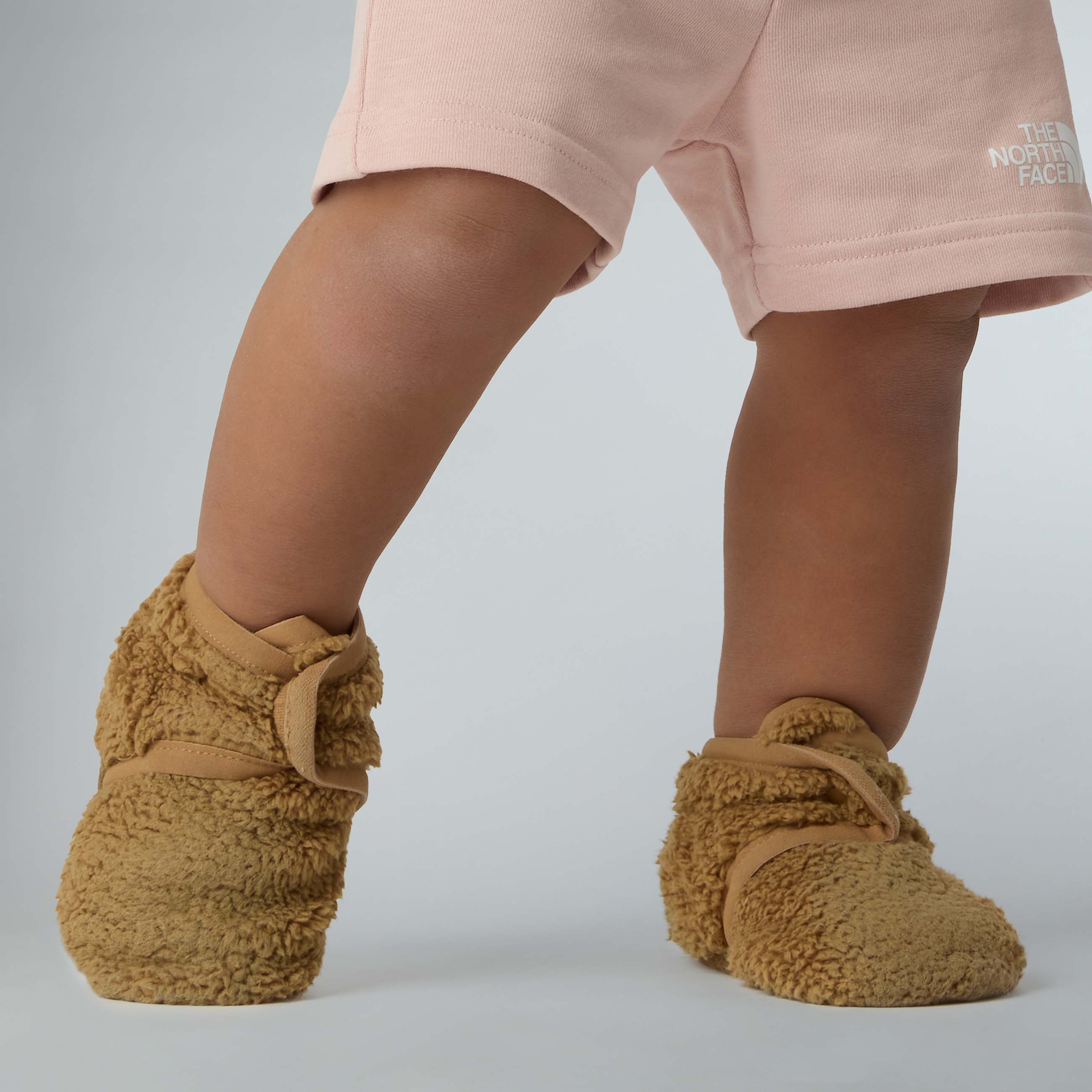 Coffret Campshire pour bb TNF ALT13