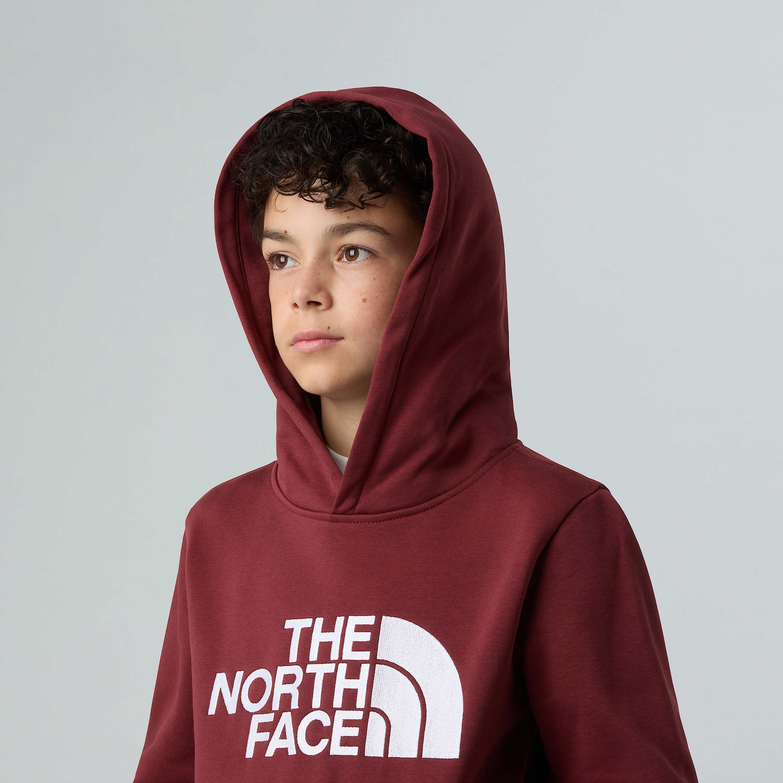 Teens Drew Peak Pullover Hoodie TNF ALT7