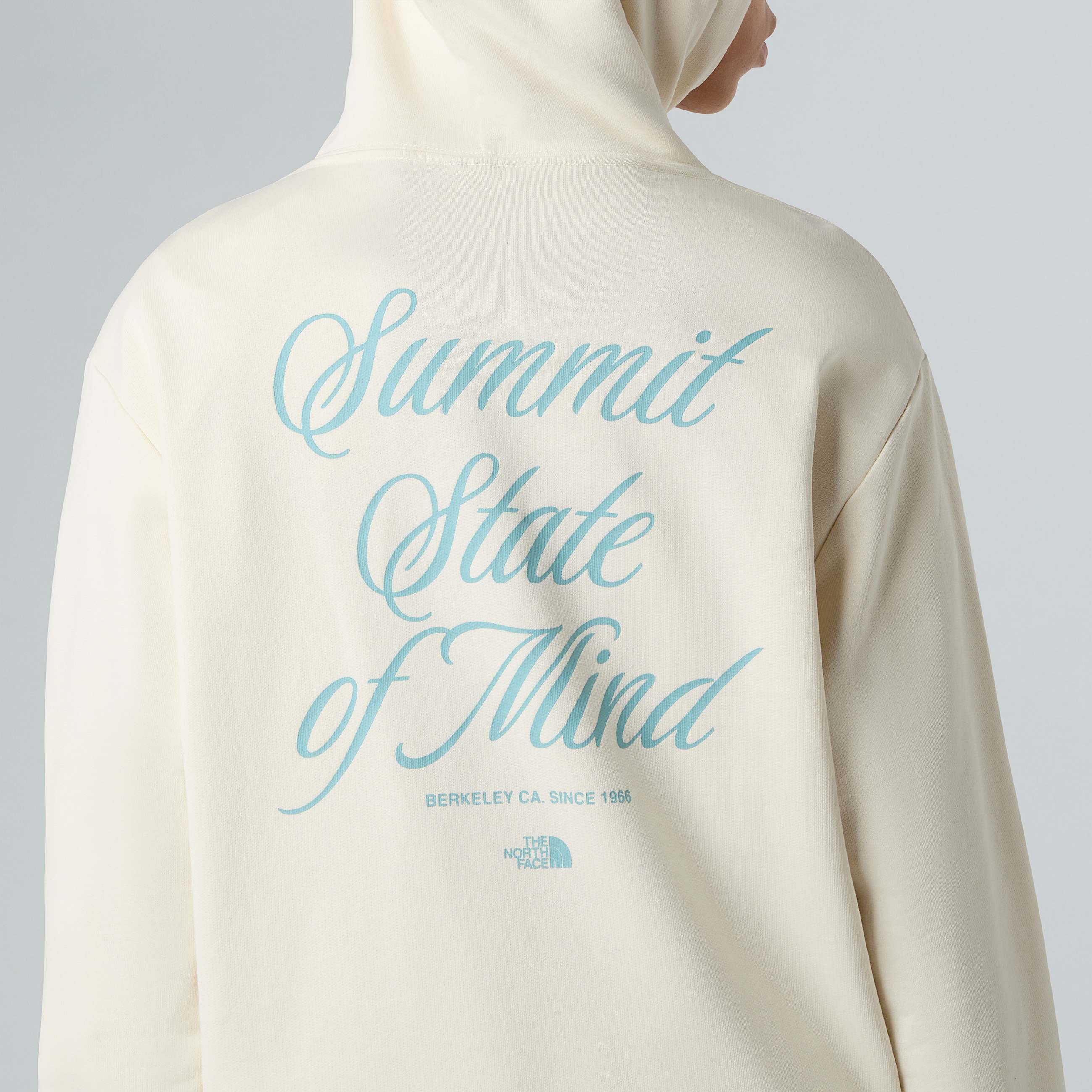 Womens Inspire Exploration Relaxed Hoodie TNF ALT8