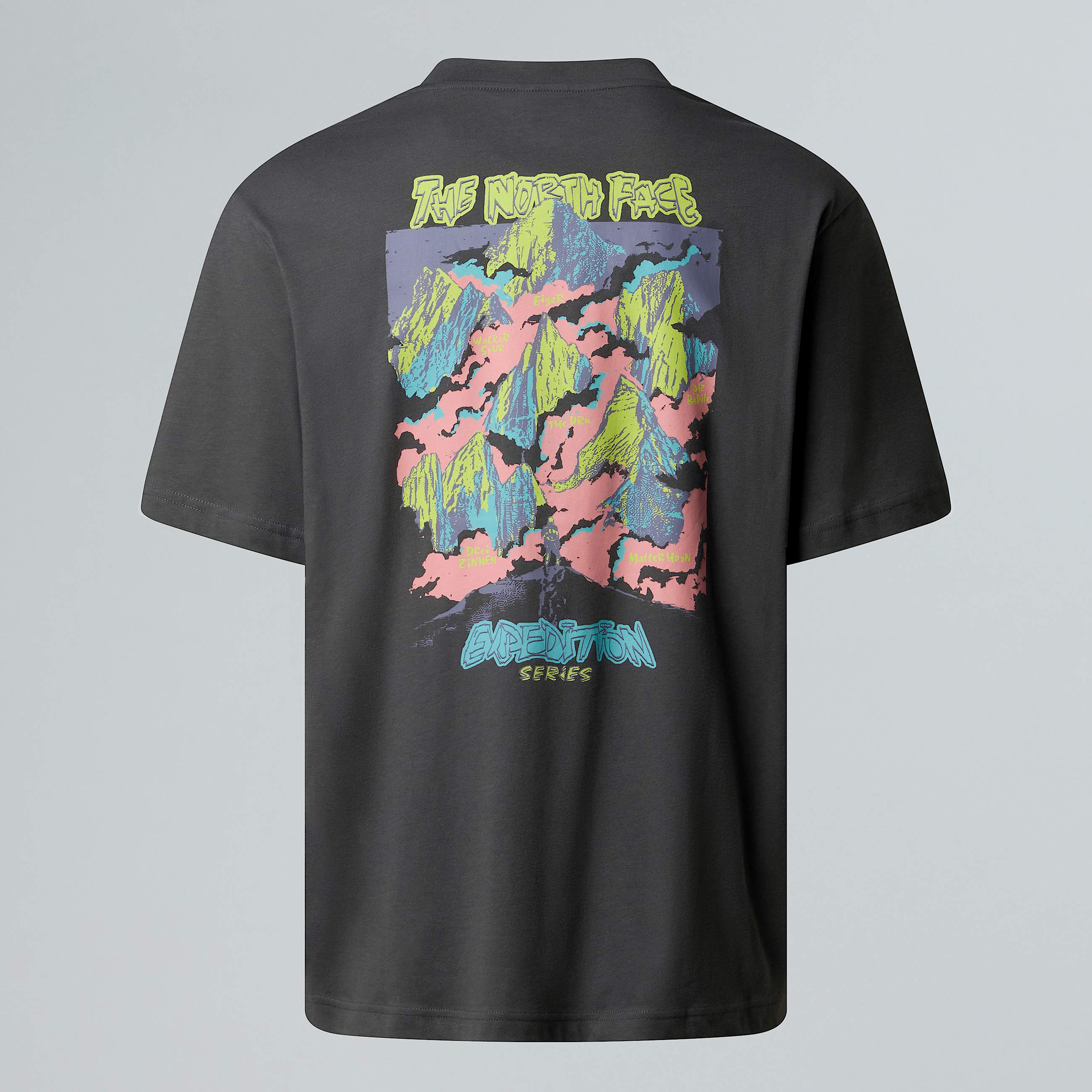 Expedition Celebration TShirt in Oversize in Unisex TNF ALT1