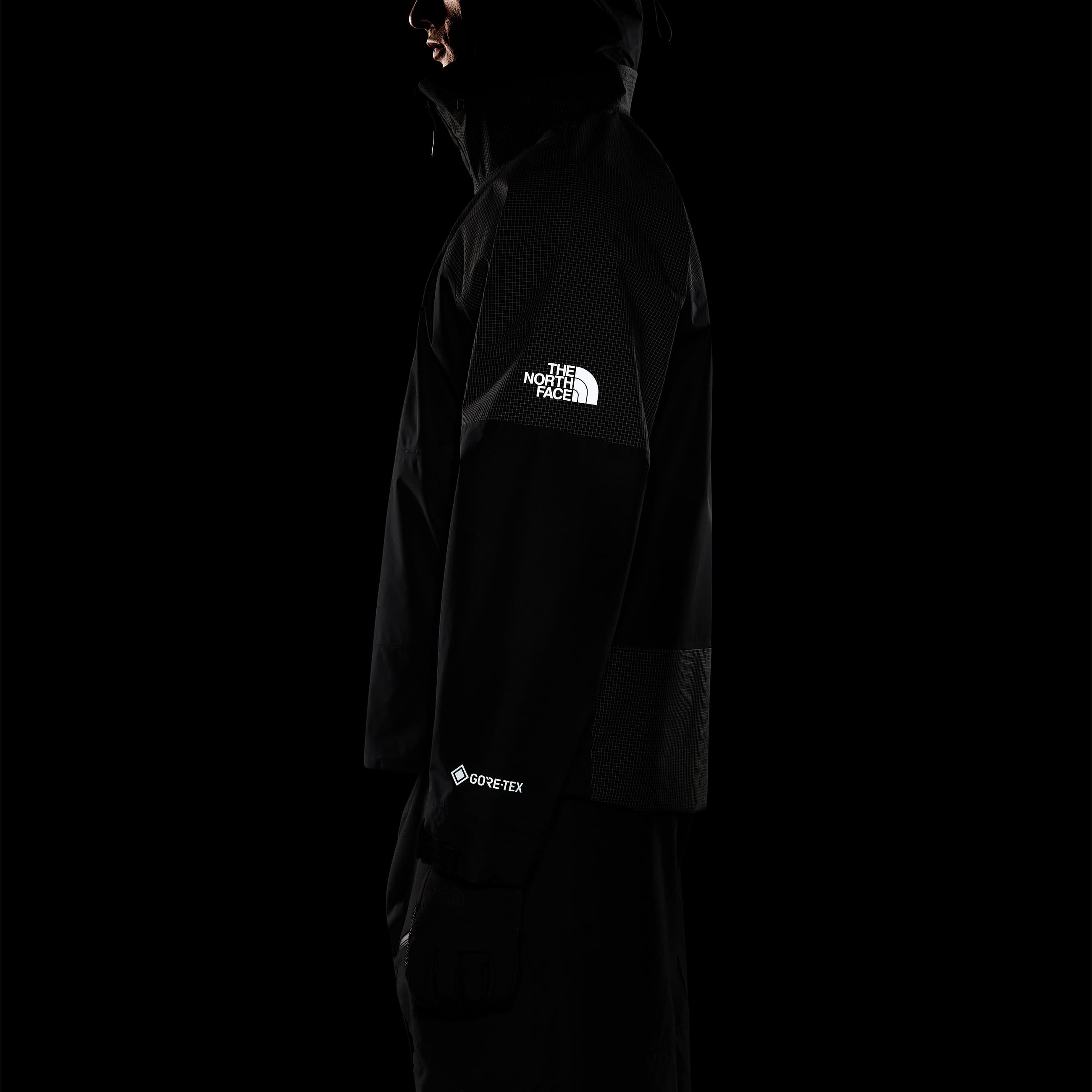 Devils Thumb GORETEX Wanderjacke fr Herren TNF ALT12