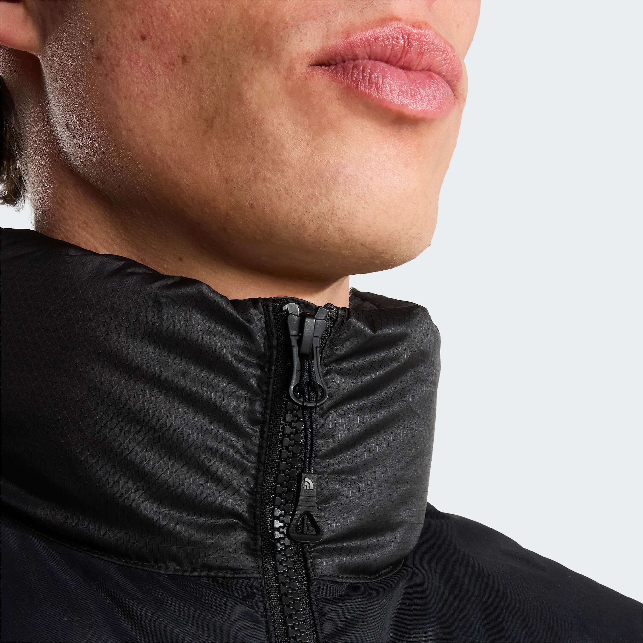 Mens Diablo Down 20 Gilet TNF ALT6