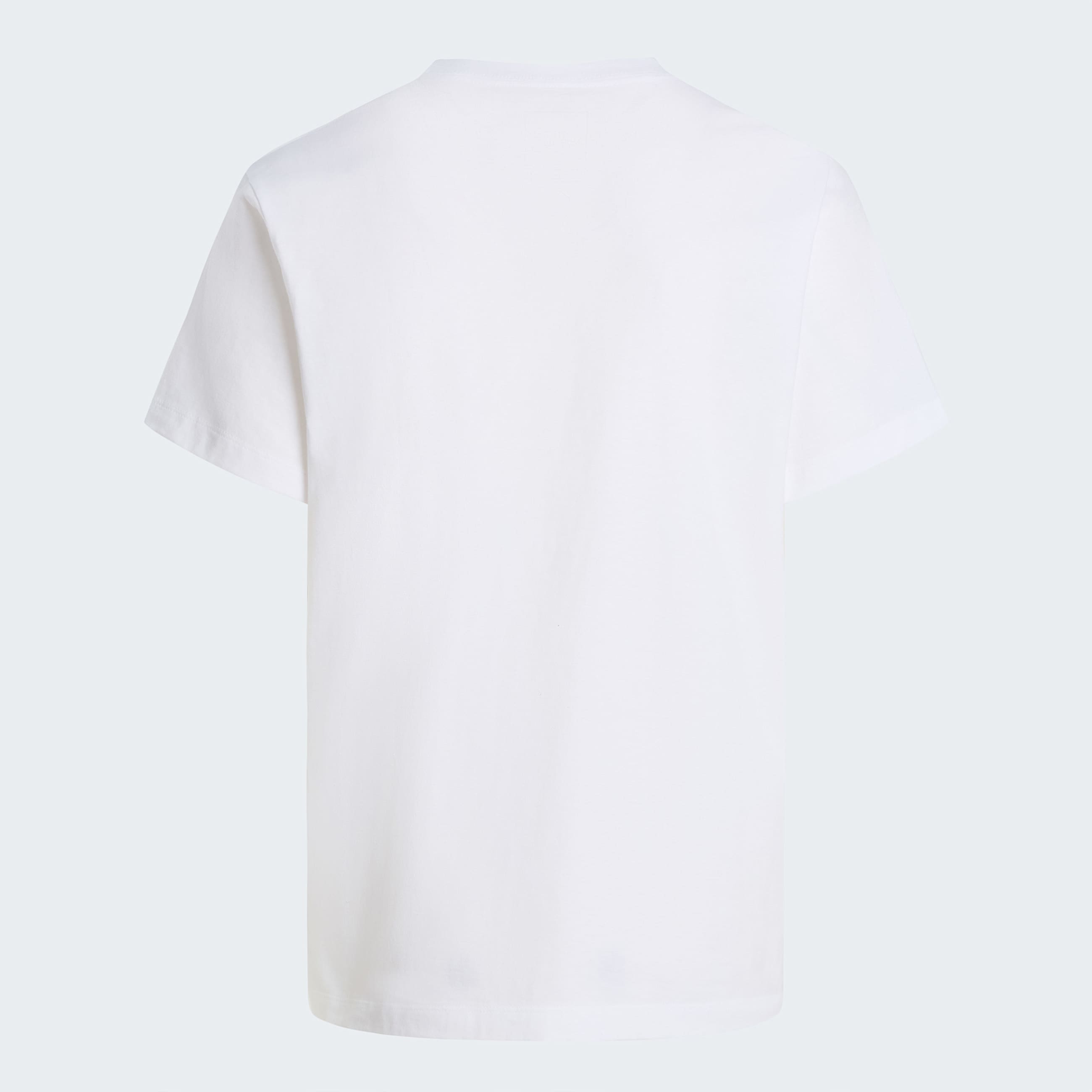 Evolution Half Dome TShirt Herren TNF ALT21