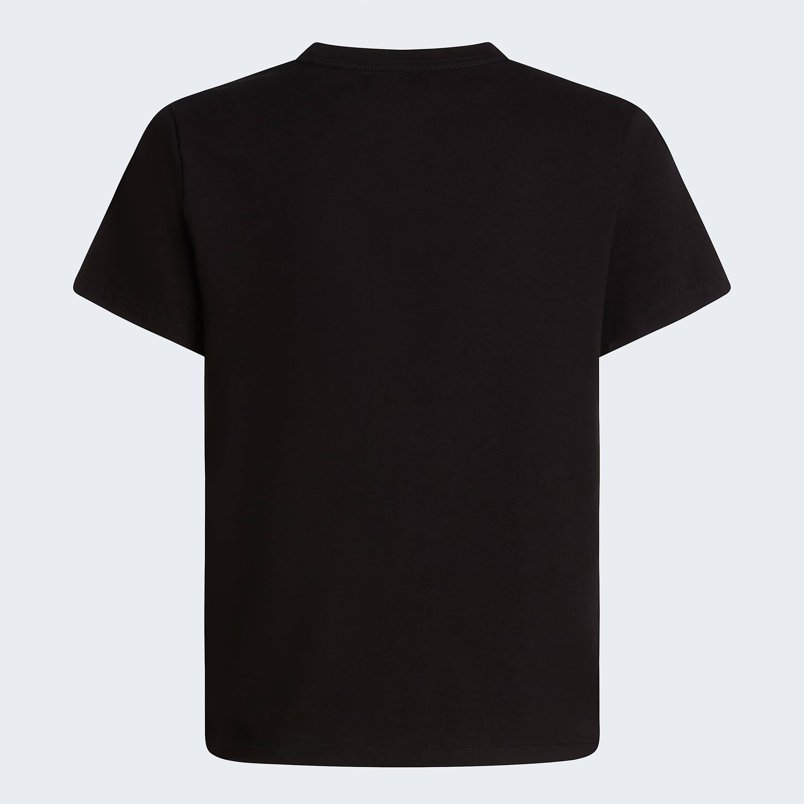Teens' Evolution Half Dome T-Shirt