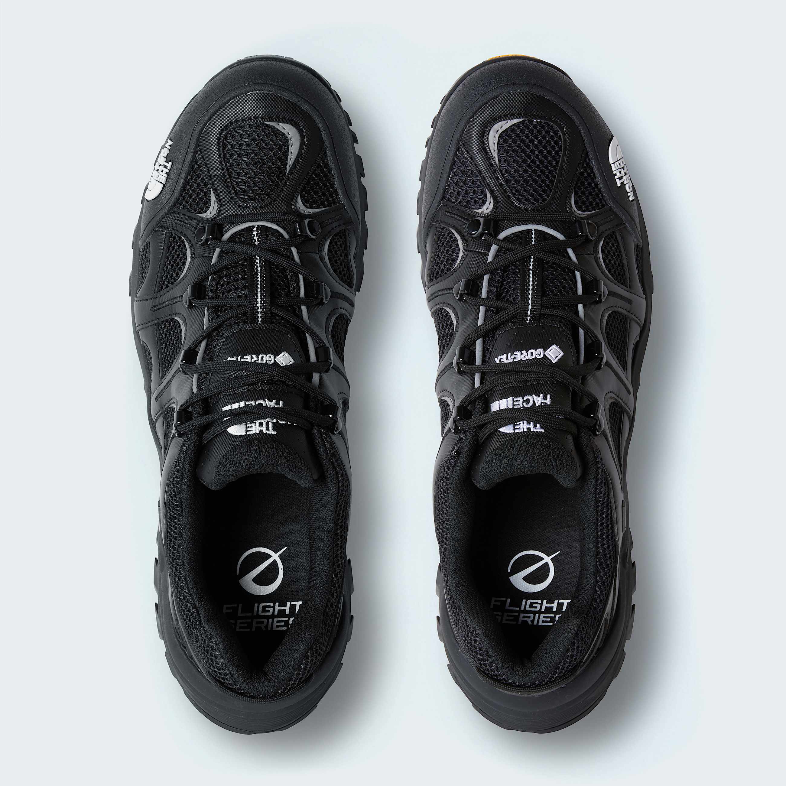 Hedgehog 06 RVST GORETEX Shoes TNF ALT1