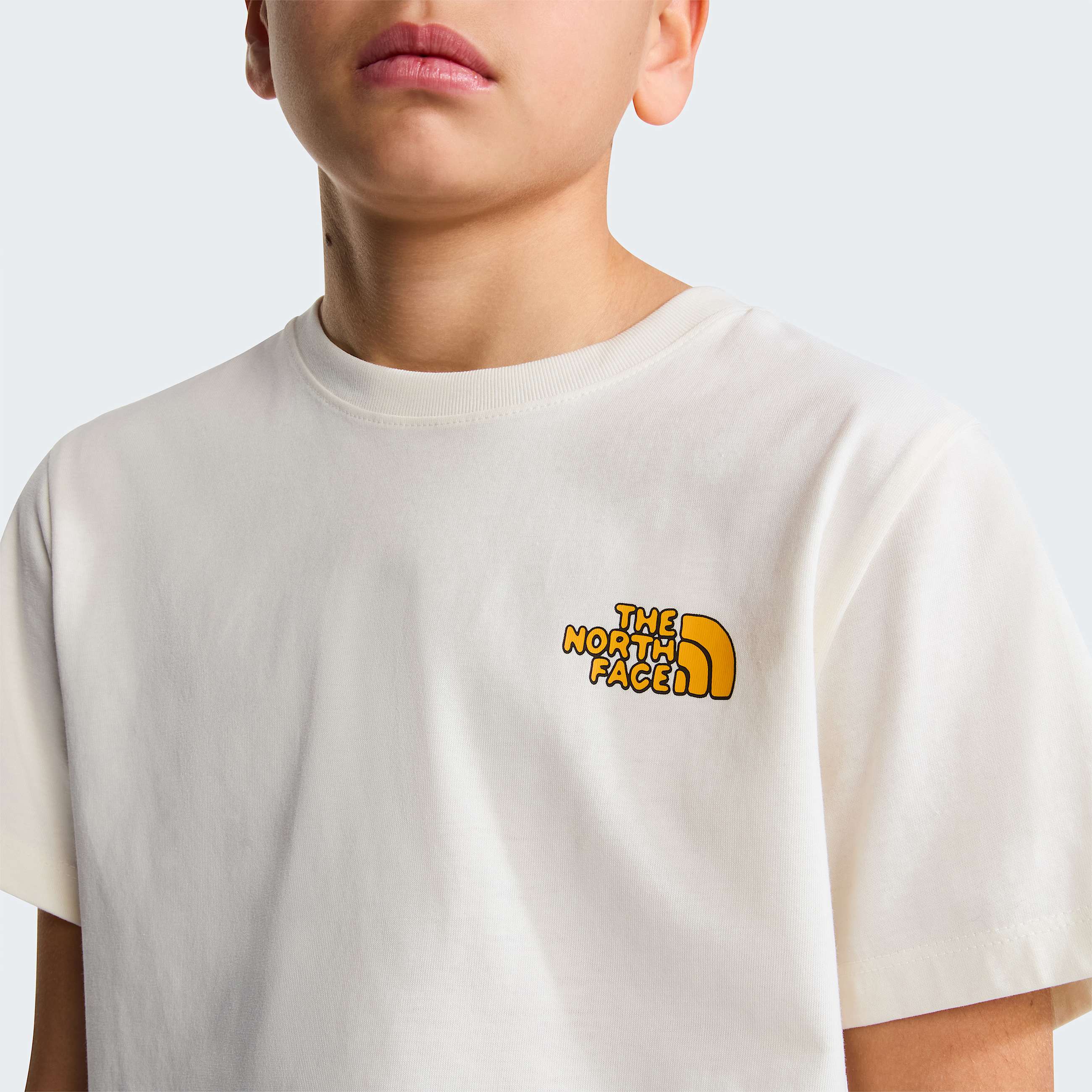 Tshirt Graphic standard Outdoor pour enfant TNF ALT4