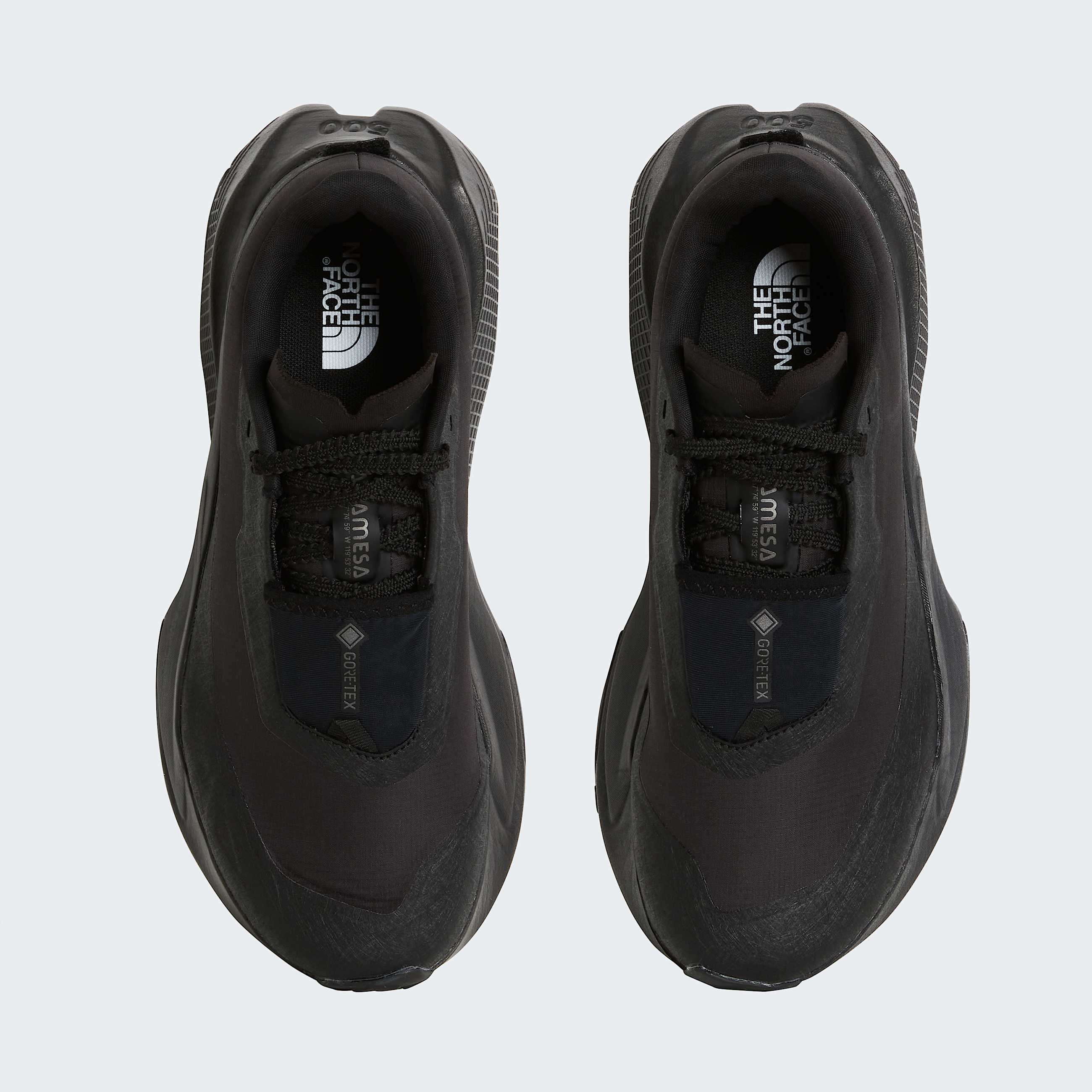 Womens Altamesa 500 V2 GORETEX Shoes TNF ALT1