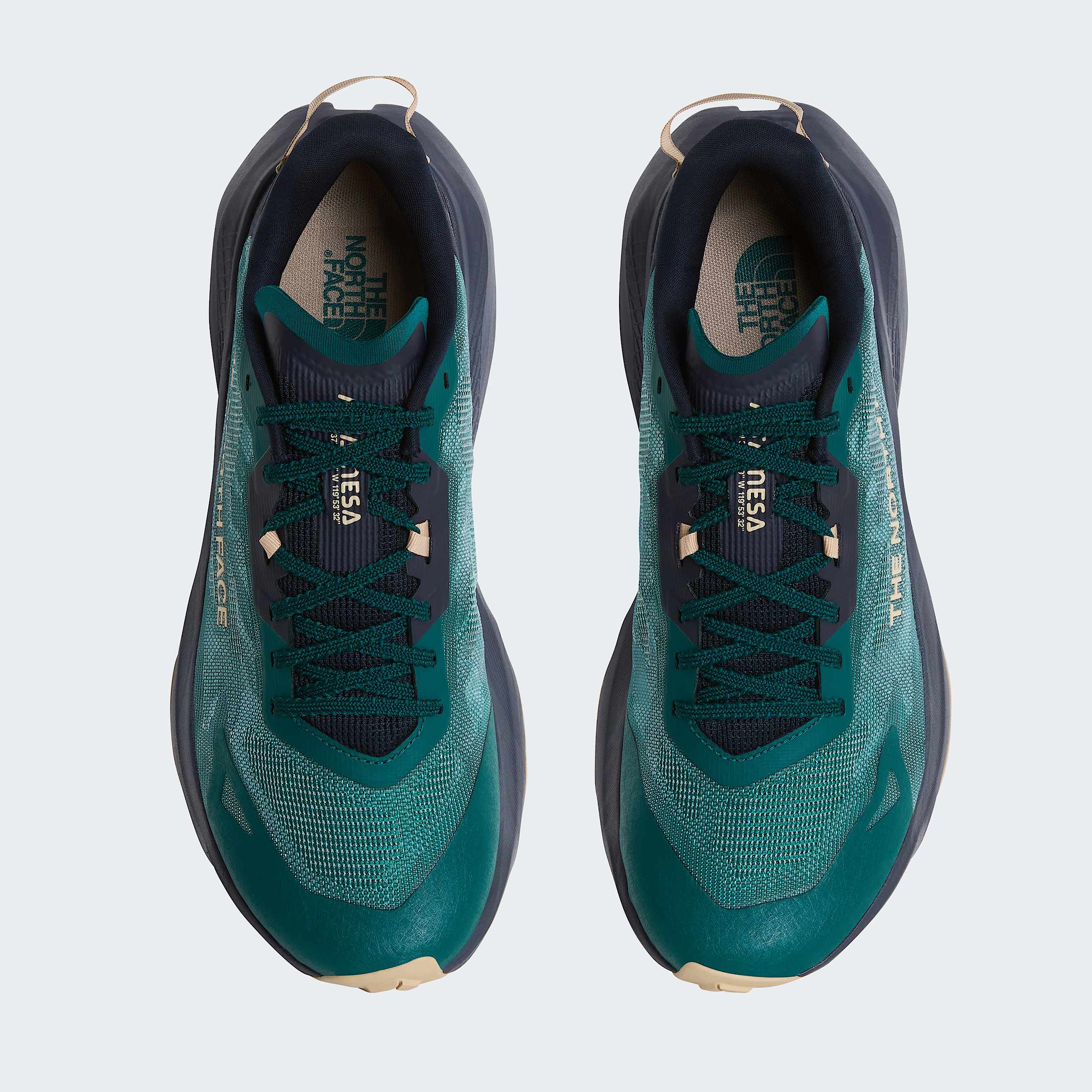 Chaussures de trail Altamesa 300  V2 pour homme TNF Pacific TealMidnight Sky ALT1