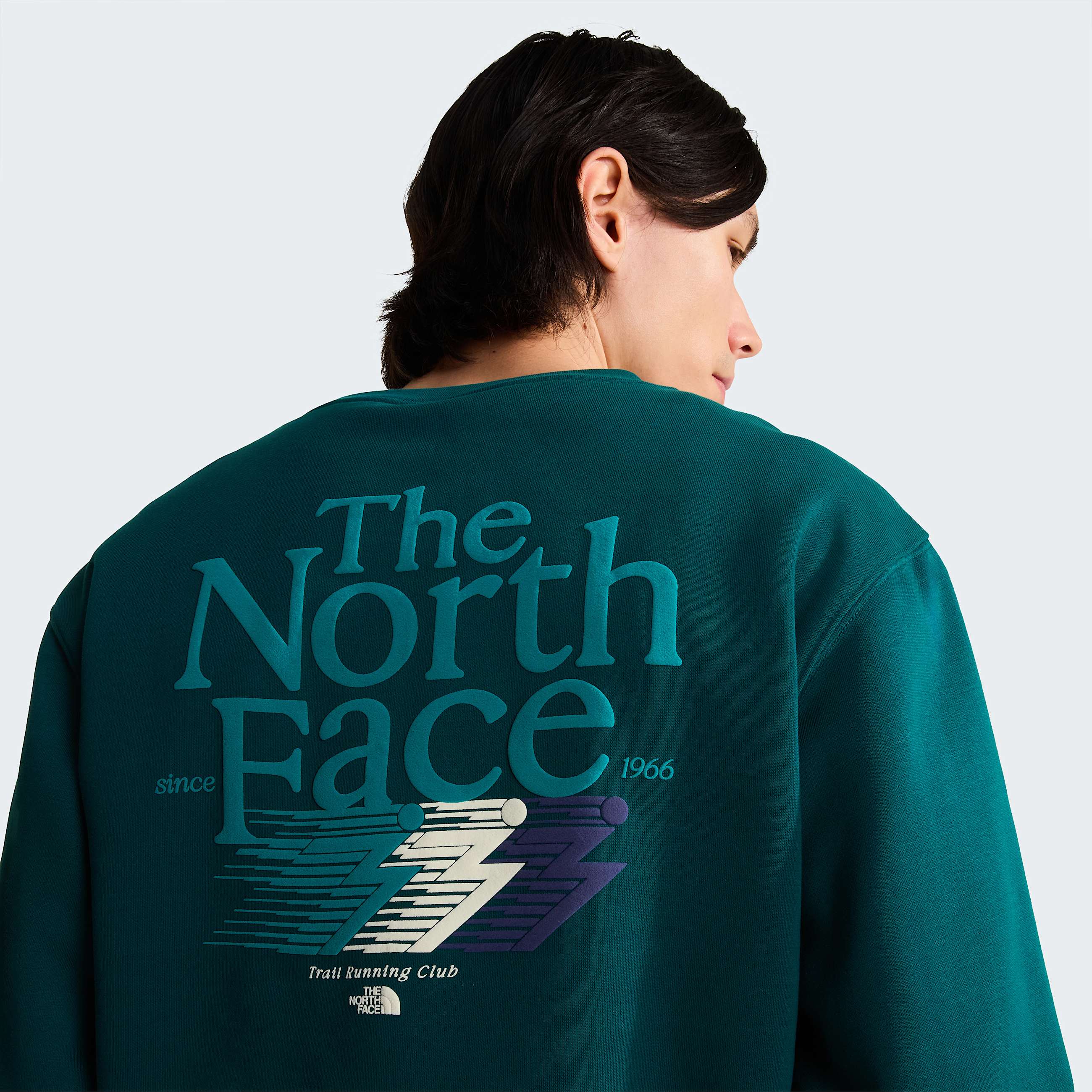 Sudadera holgada con estampado grfico Retro Trail para hombre TNF ALT5