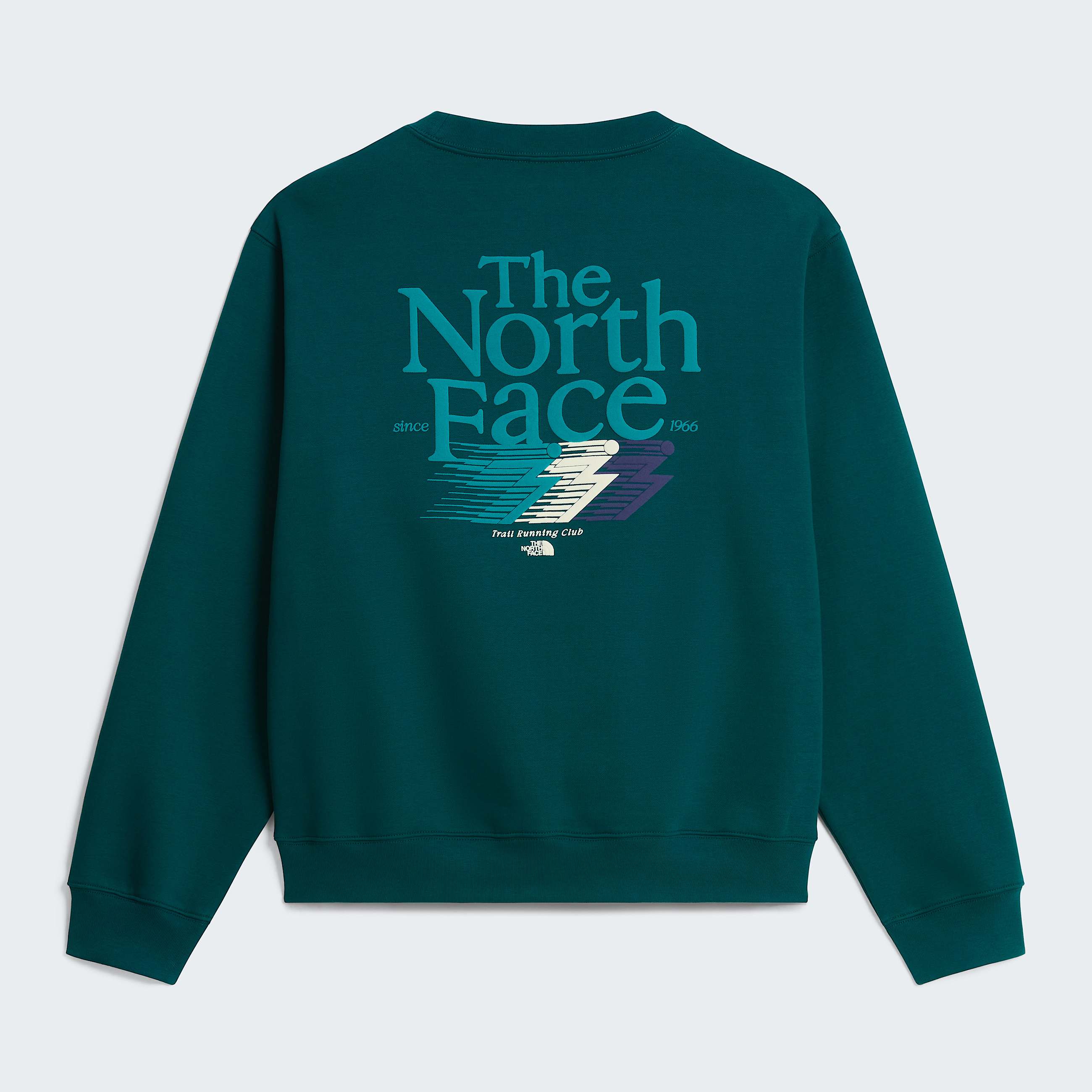 Sudadera holgada con estampado grfico Retro Trail para hombre TNF ALT31