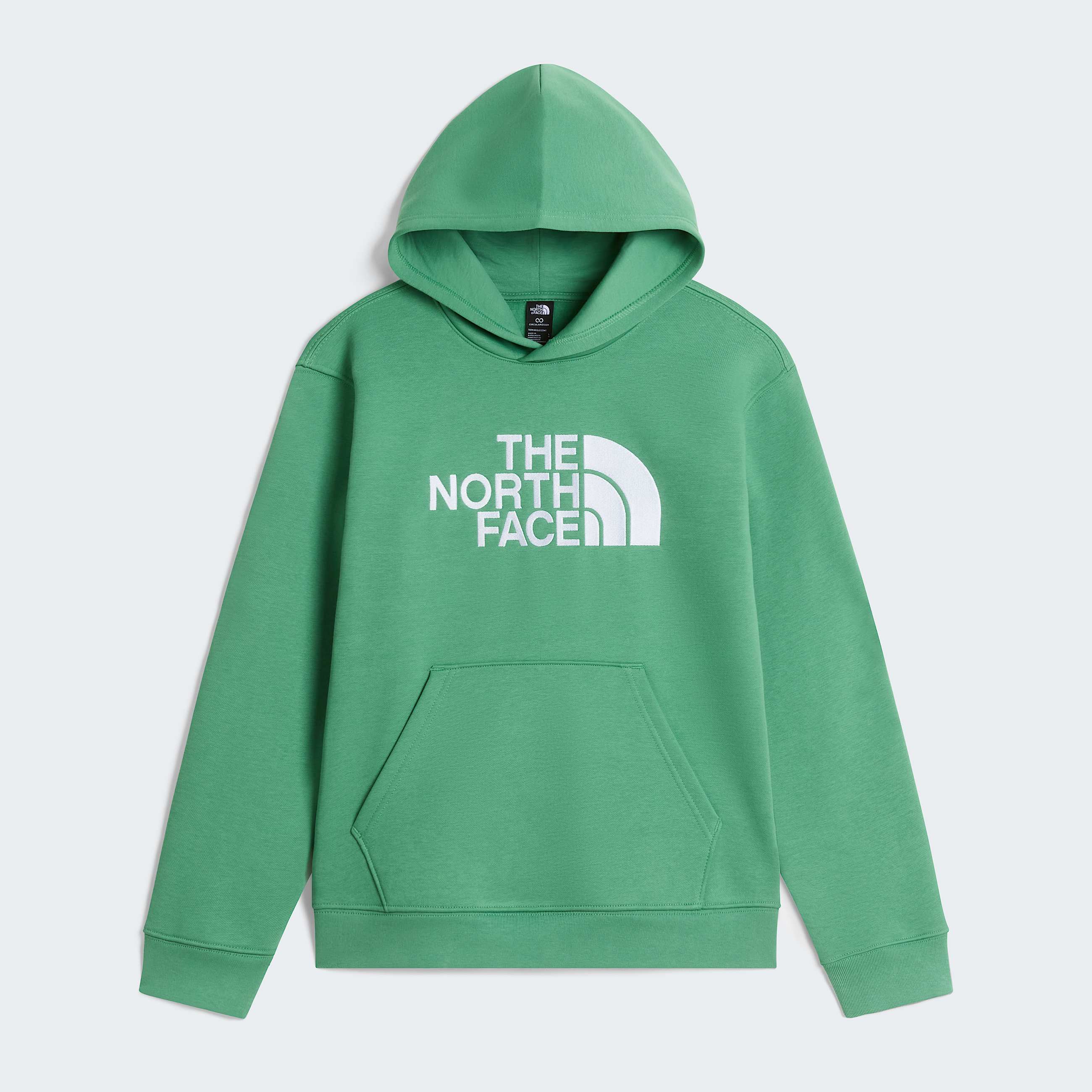 Teens TNF Essential Drew Peak Hoodie TNF ALT30