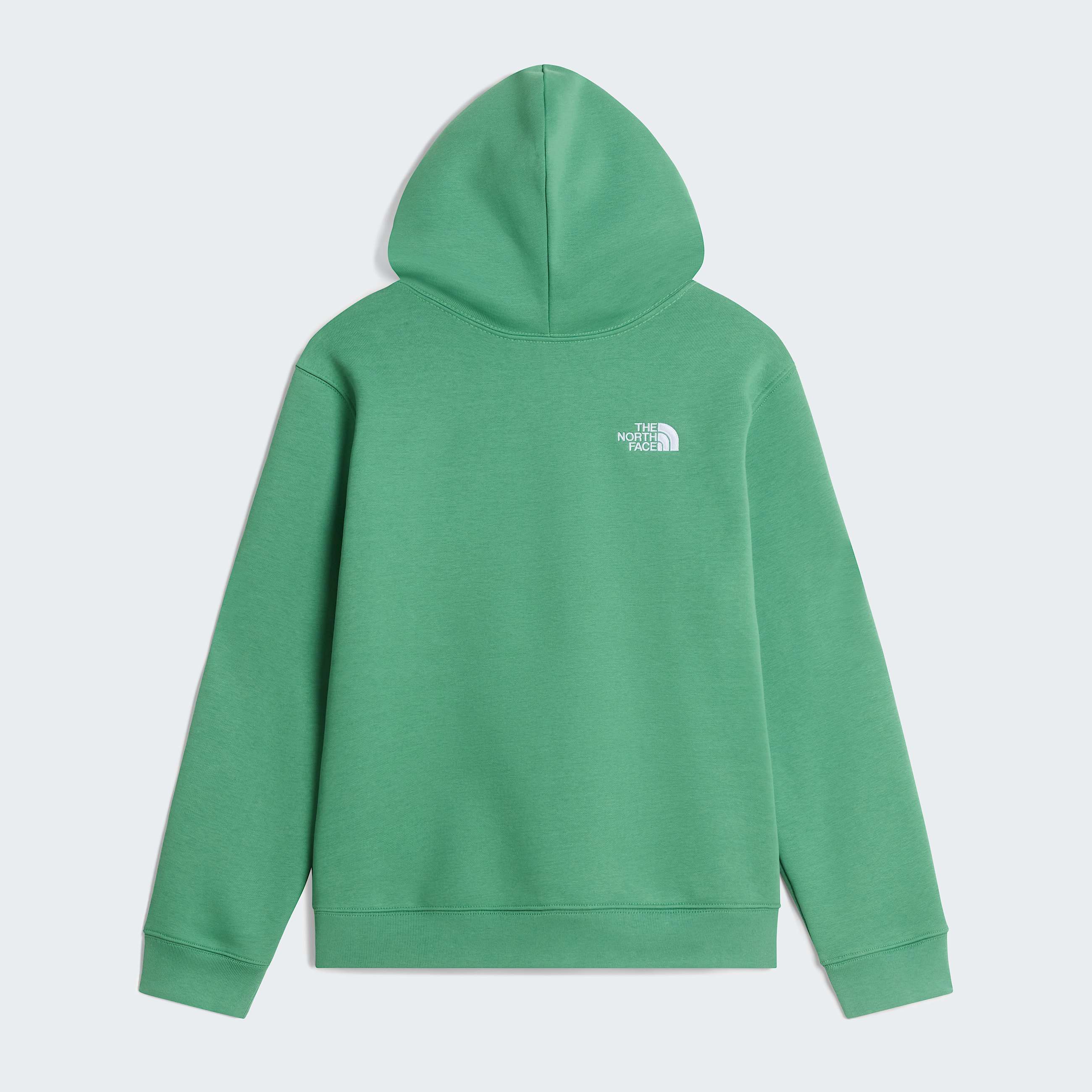 Teens TNF Essential Drew Peak Hoodie TNF ALT31
