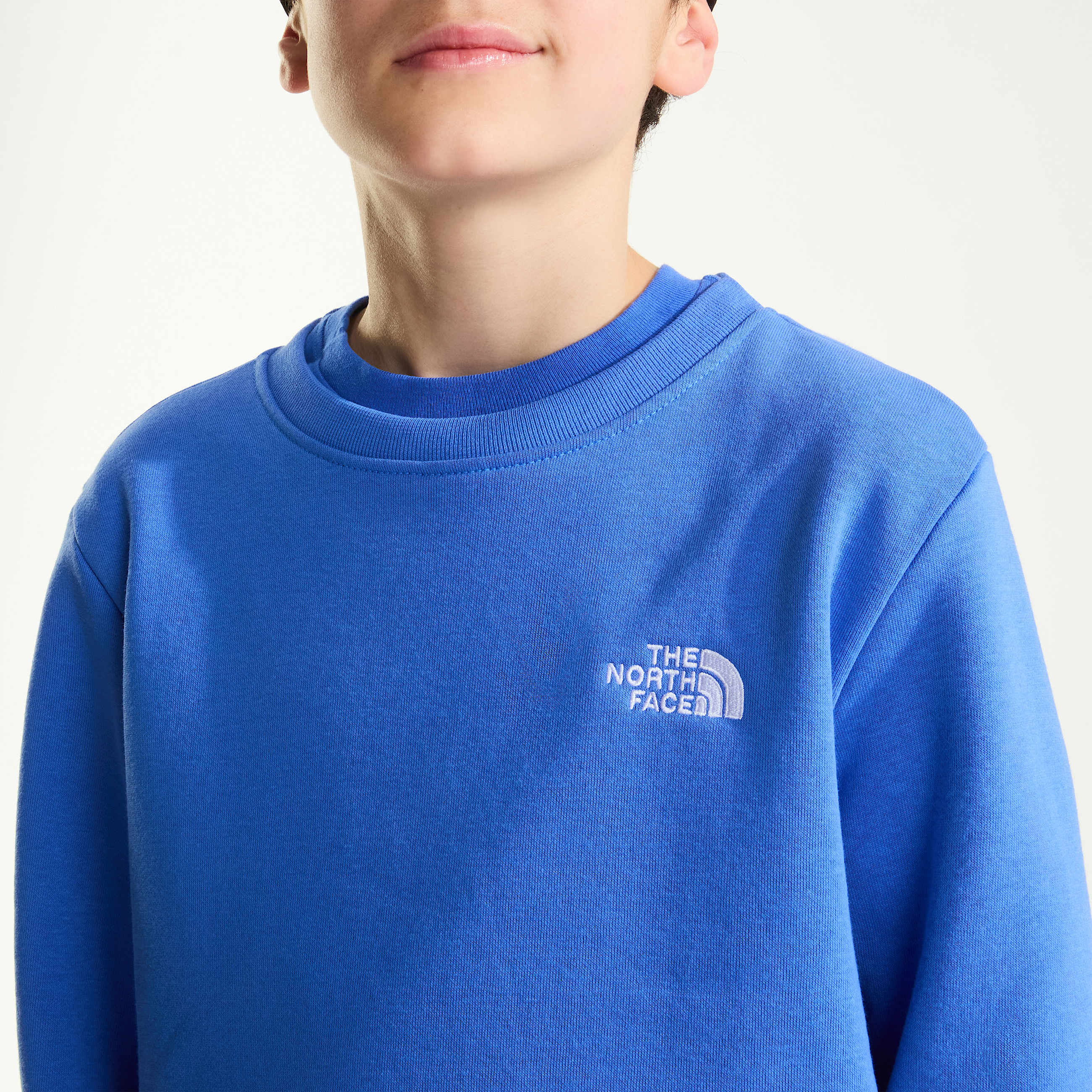 Felpa Evolution Simple Dome da ragazzi TNF ALT4