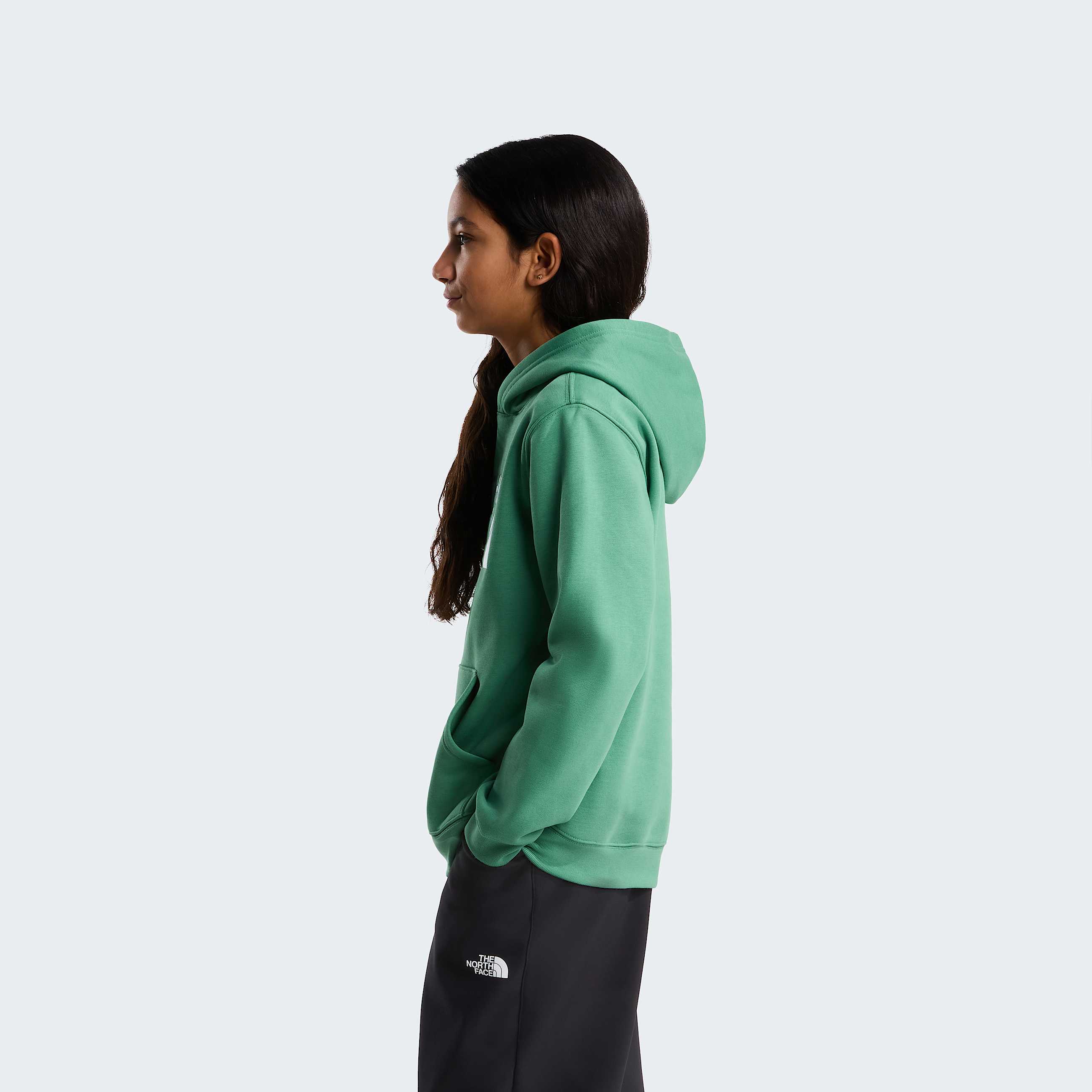 Teens TNF Essential Drew Peak Hoodie TNF ALT14