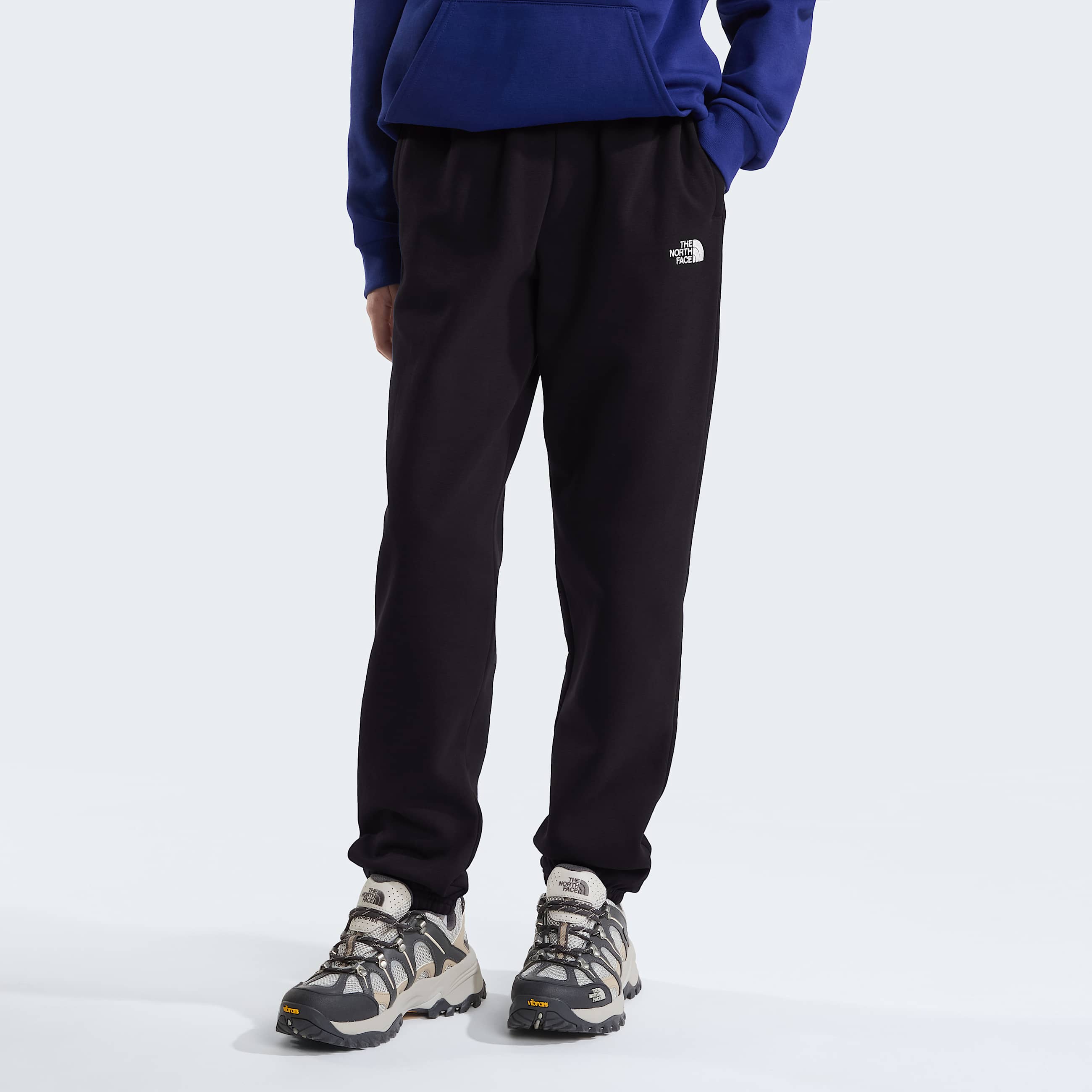 Pantalon de jogging Evolution Simple Dome pour enfant TNF ALT2