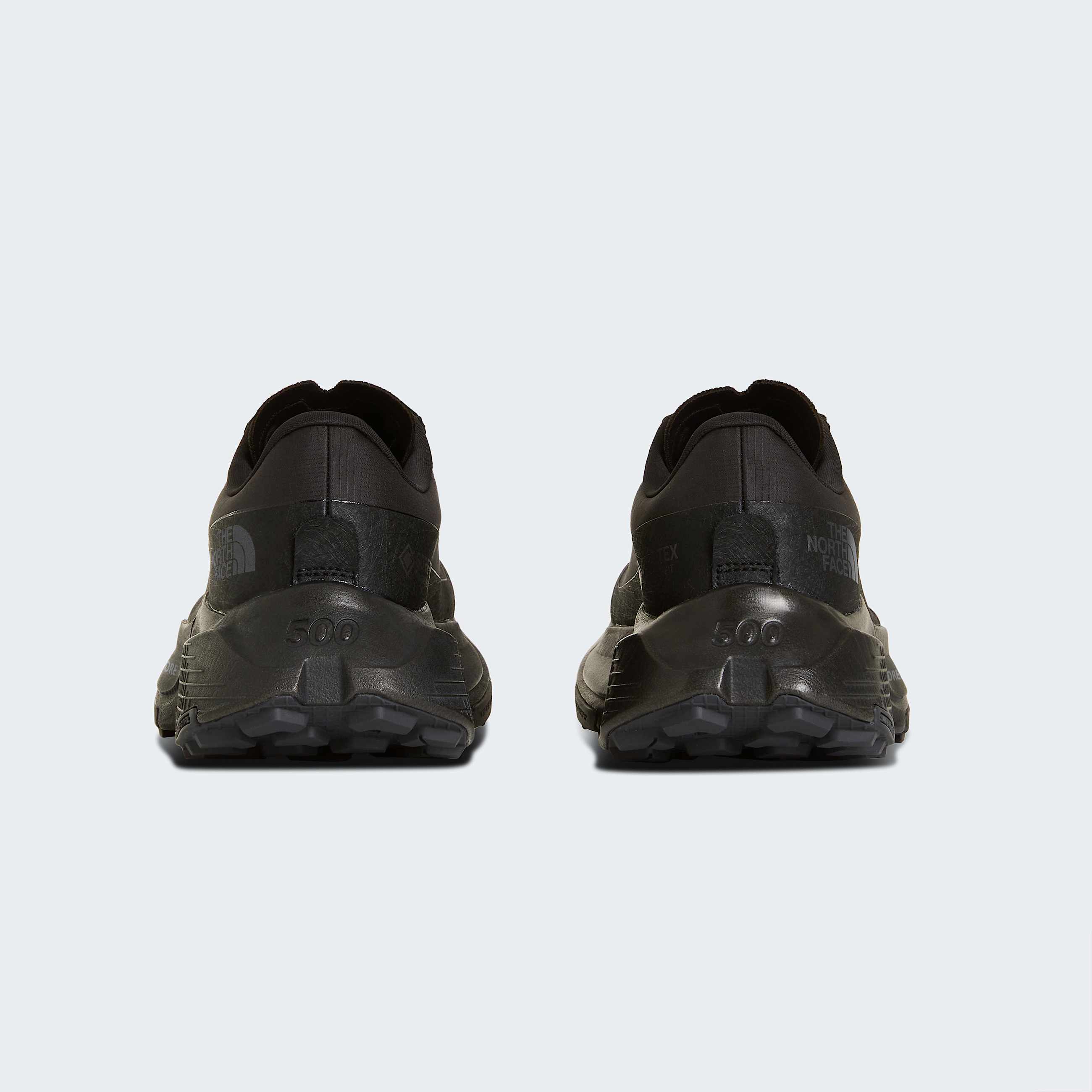 Womens Altamesa 500 V2 GORETEX Shoes TNF ALT6