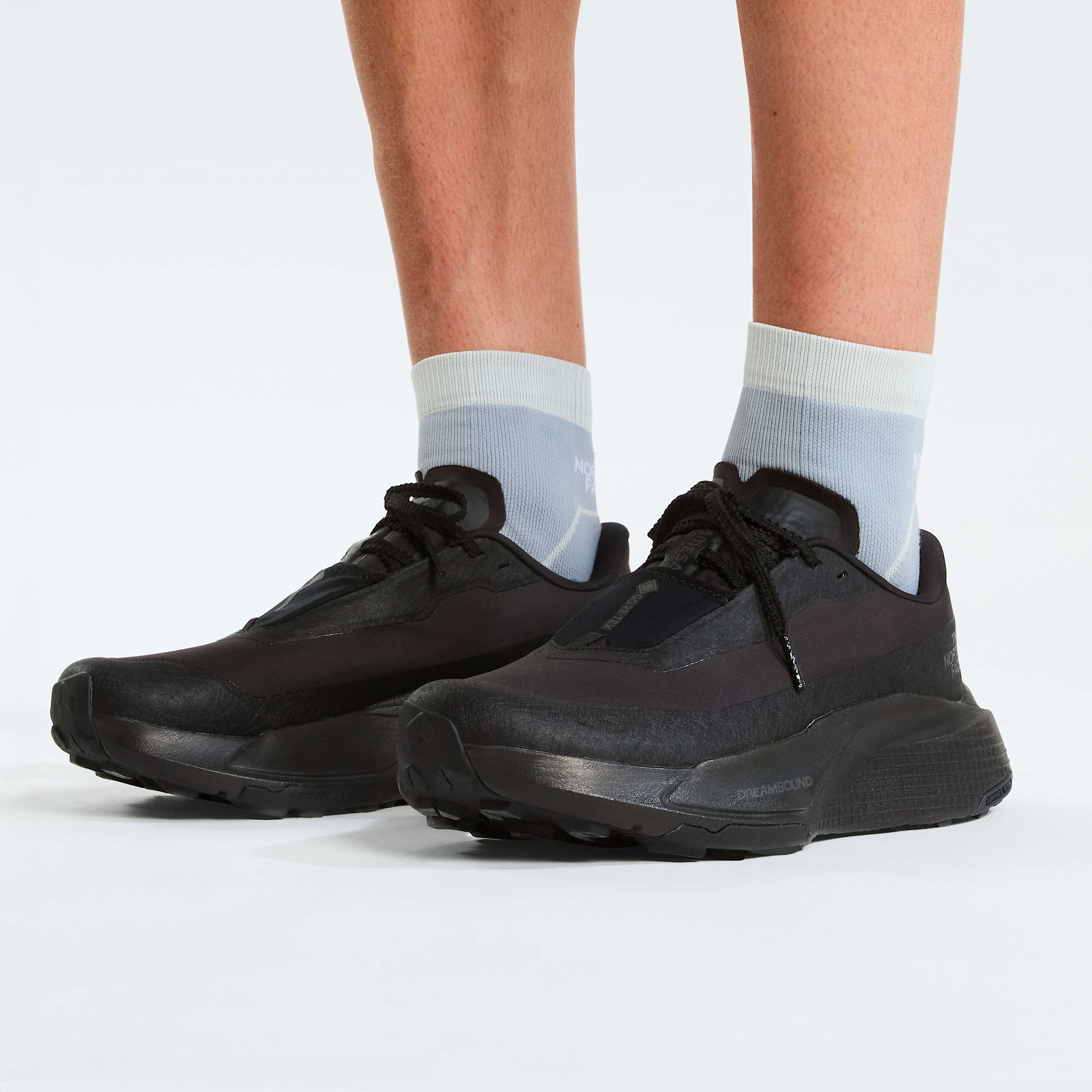 Mskie buty Altamesa 500 V2 GORETEX TNF ALT2