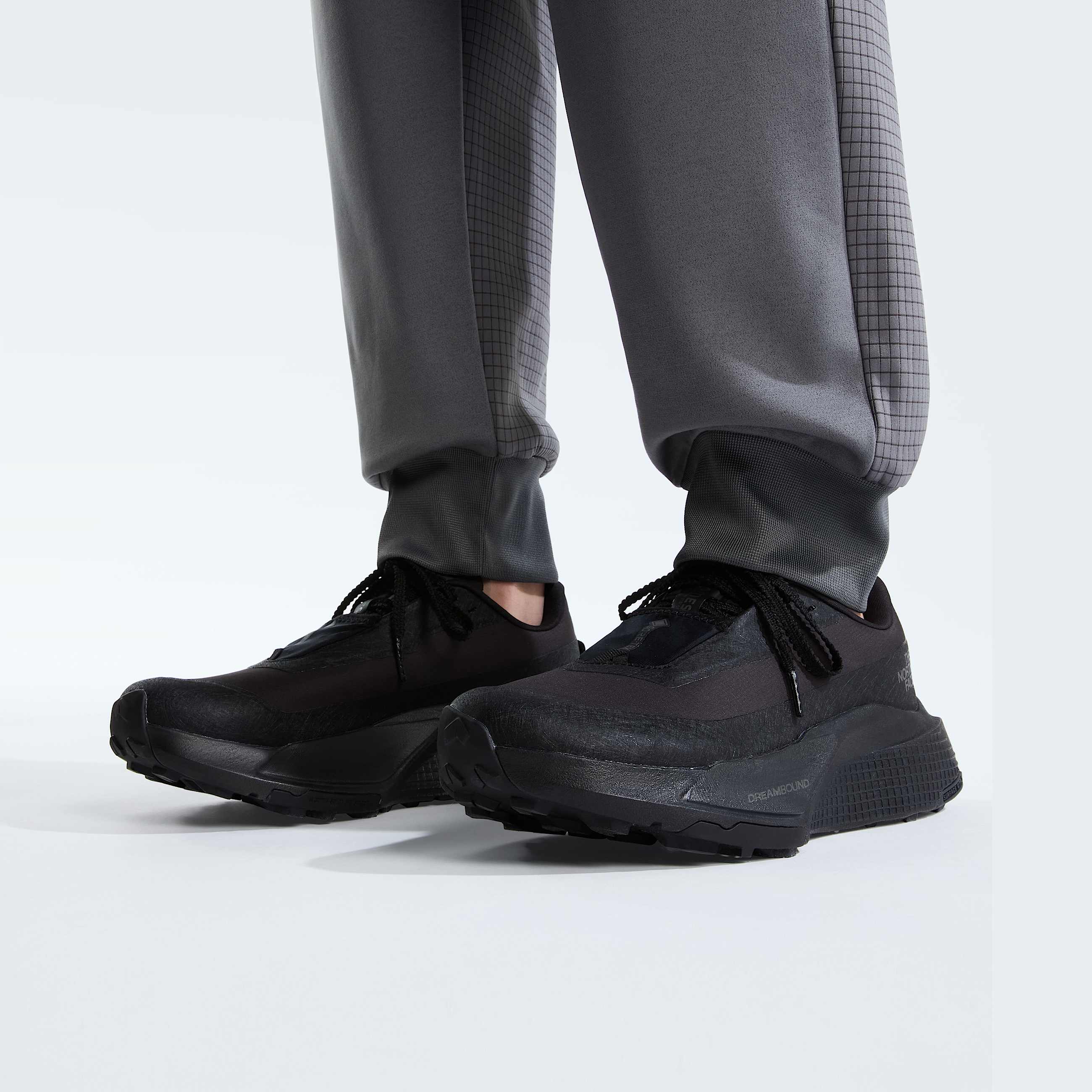 Womens Altamesa 500 V2 GORETEX Shoes TNF ALT4