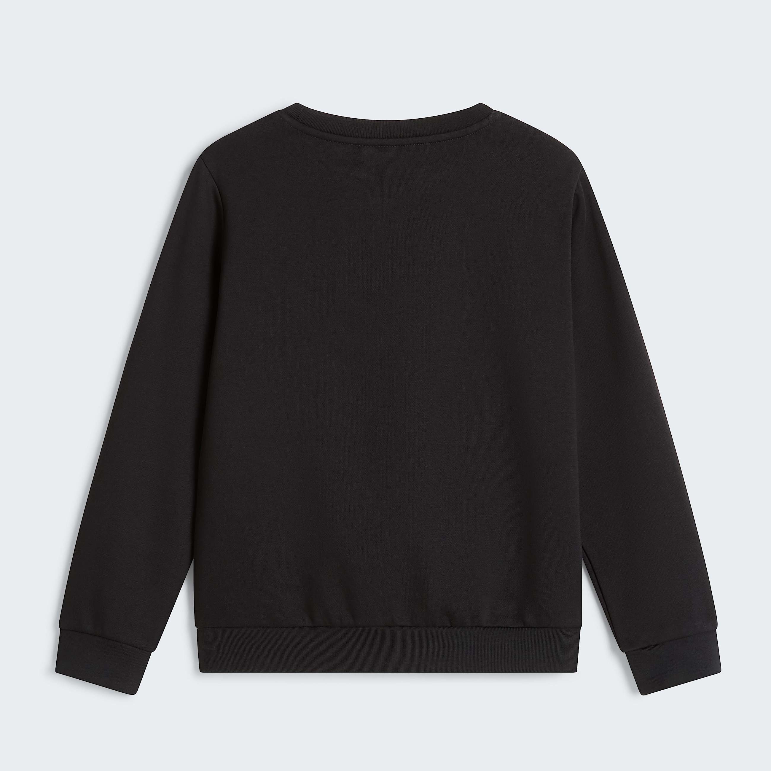 Evolution Simple Dome Sweatshirt Junior TNF ALT1