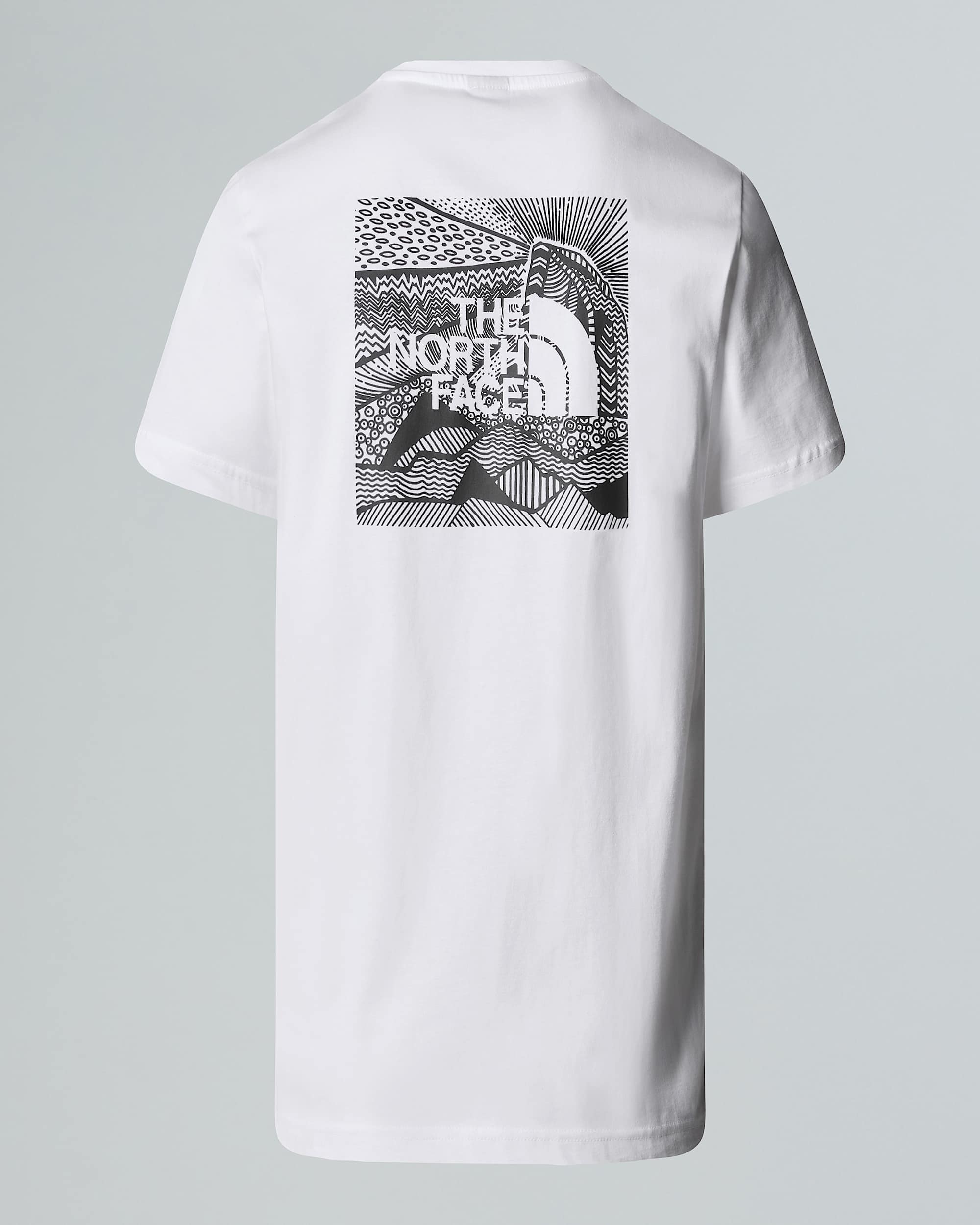 Men's NSE Box Celebration T-Shirt | The North Face FI