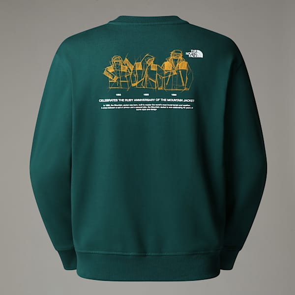 Unisex Oversized 1/4 Zip Sweatshirt | The North Face FI